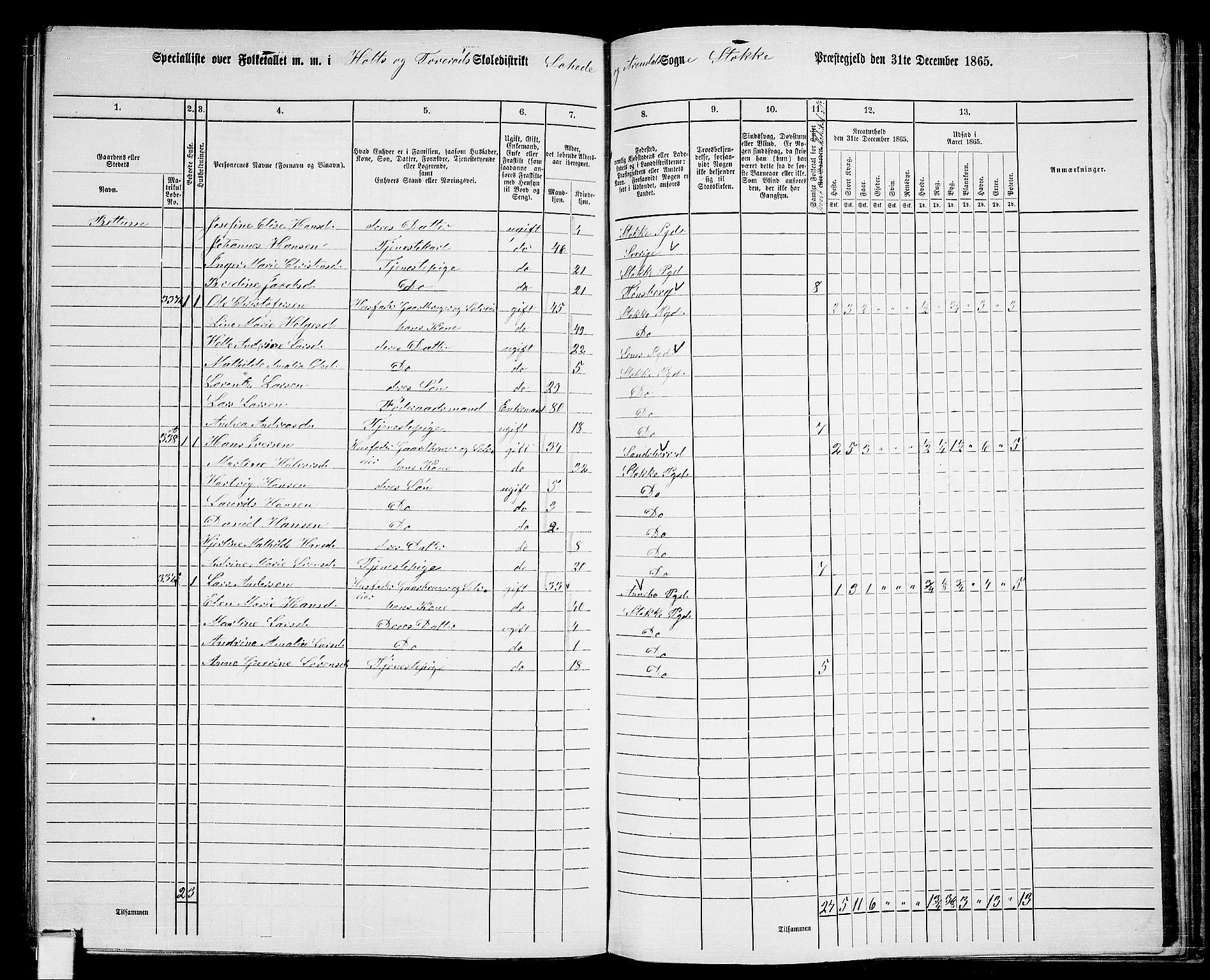 RA, 1865 census for Stokke, 1865, p. 164