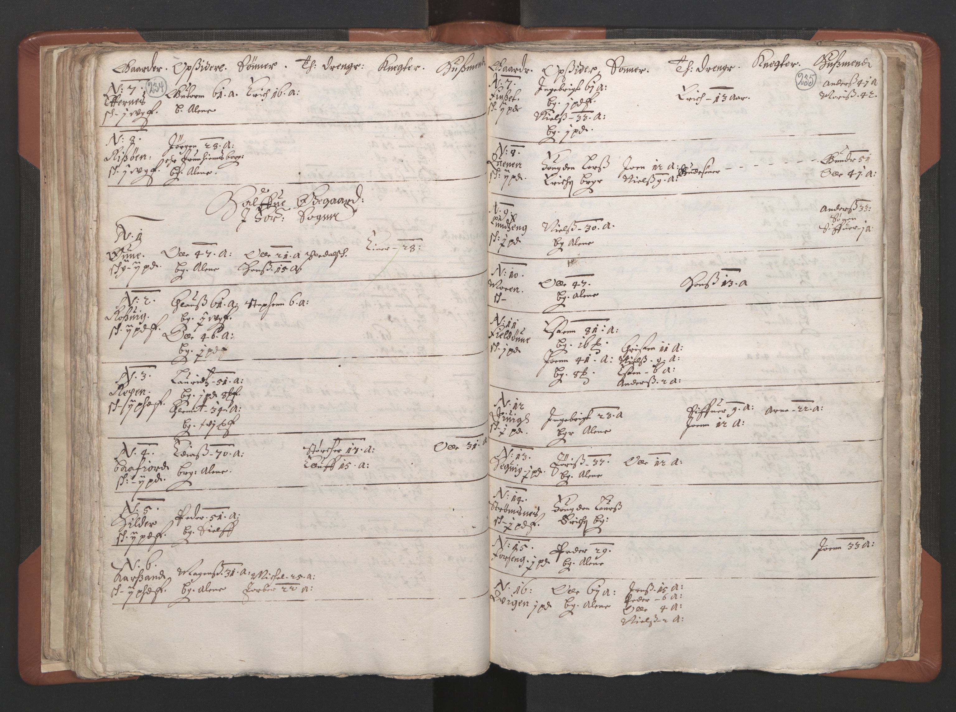 RA, Vicar's Census 1664-1666, no. 34: Namdal deanery, 1664-1666, p. 234-235