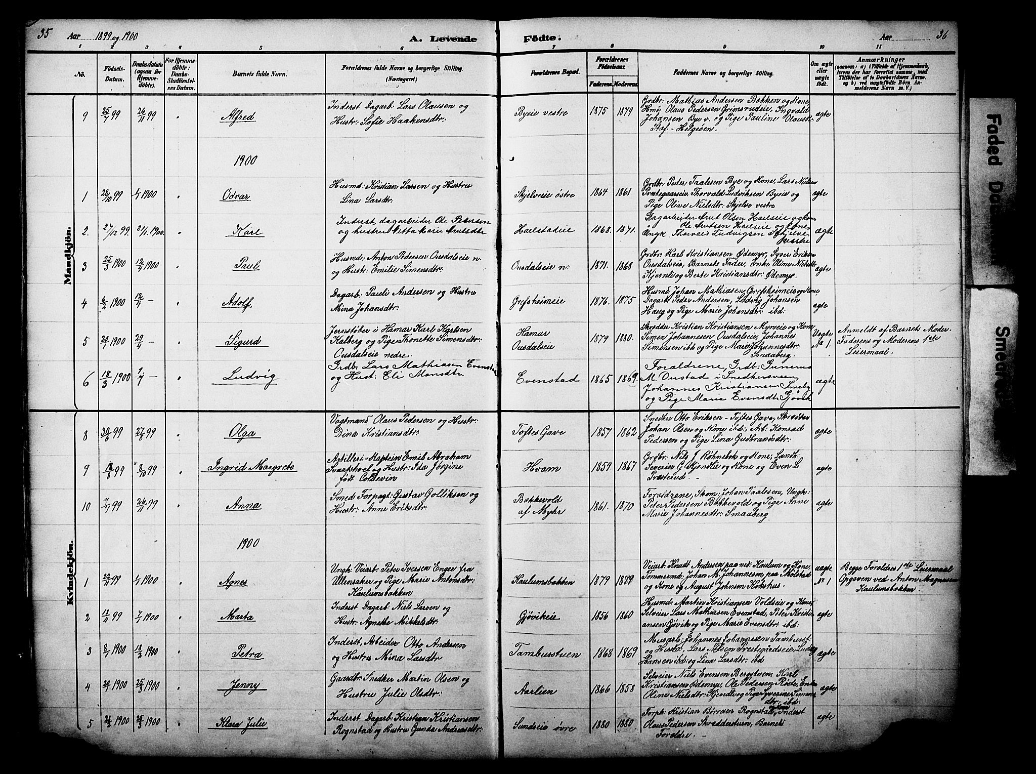 Nes prestekontor, Hedmark, AV/SAH-PREST-020/L/La/L0006: Parish register (copy) no. 6, 1890-1932, p. 35-36