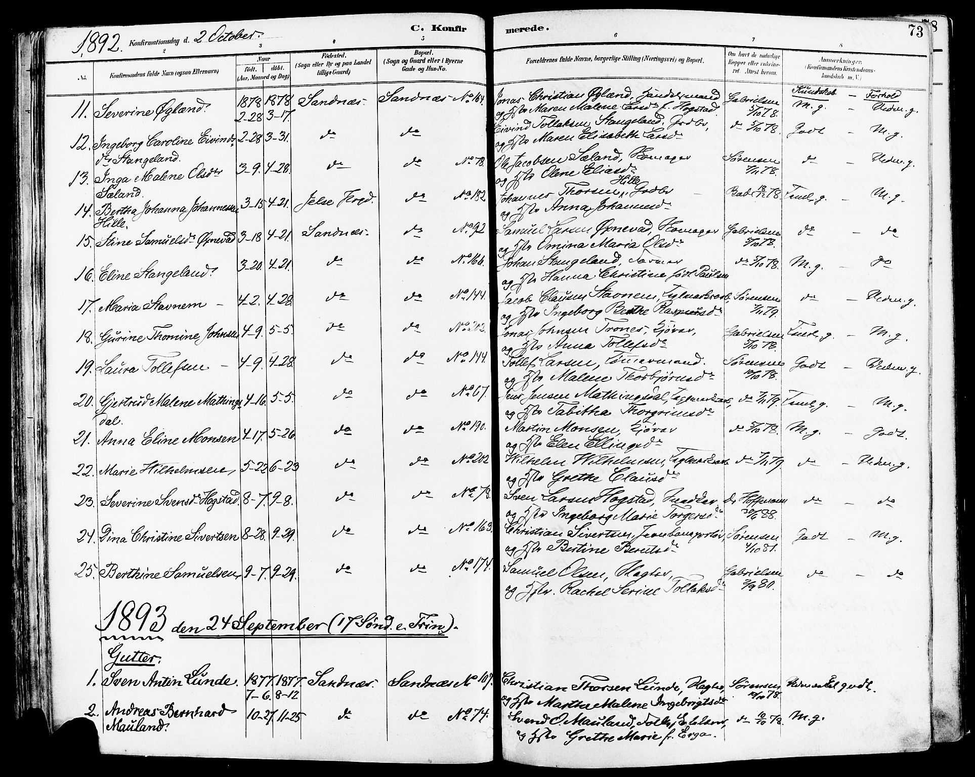 Høyland sokneprestkontor, SAST/A-101799/001/30BA/L0014: Parish register (official) no. A 12, 1890-1898, p. 73