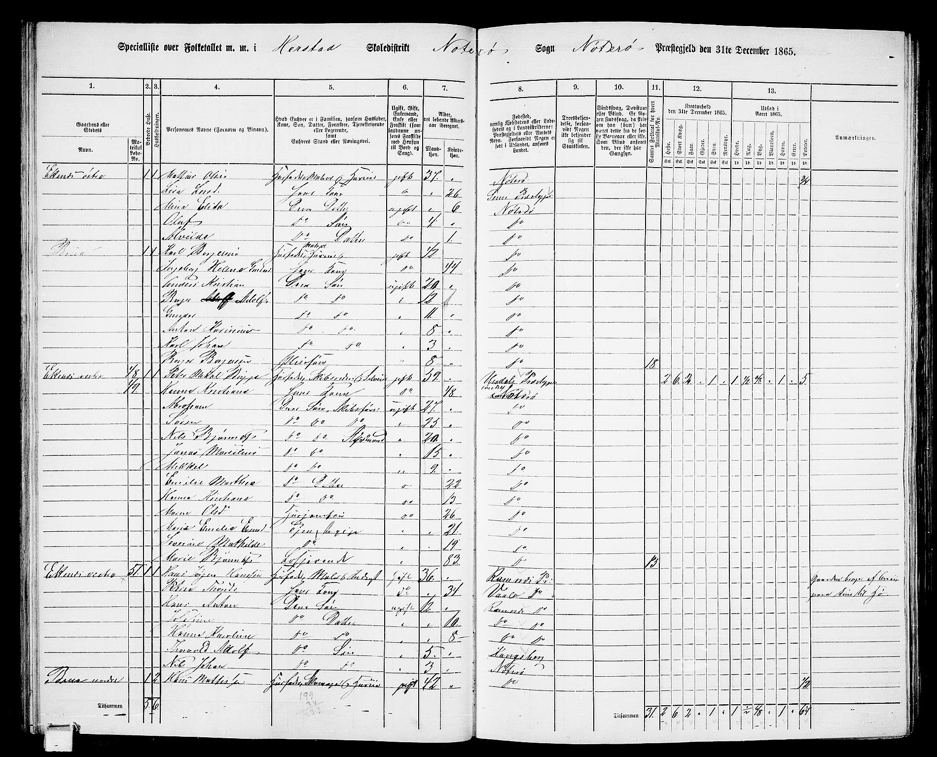 RA, 1865 census for Nøtterøy, 1865, p. 34