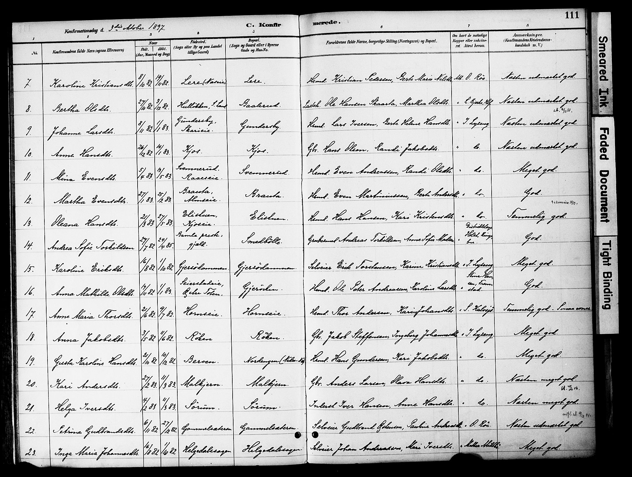 Gran prestekontor, SAH/PREST-112/H/Ha/Haa/L0020: Parish register (official) no. 20, 1889-1899, p. 111