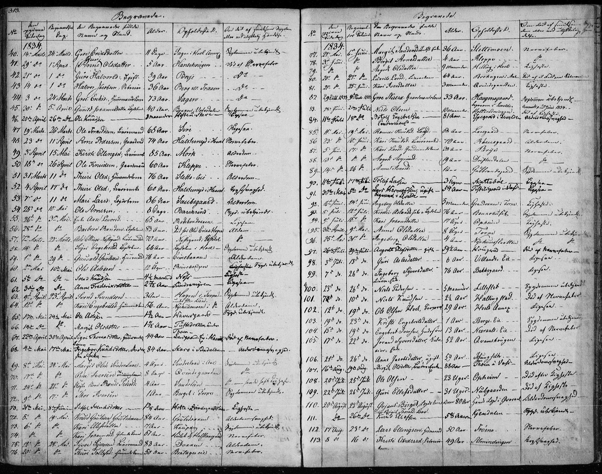 Ål kirkebøker, SAKO/A-249/F/Fa/L0005: Parish register (official) no. I 5, 1825-1848, p. 313