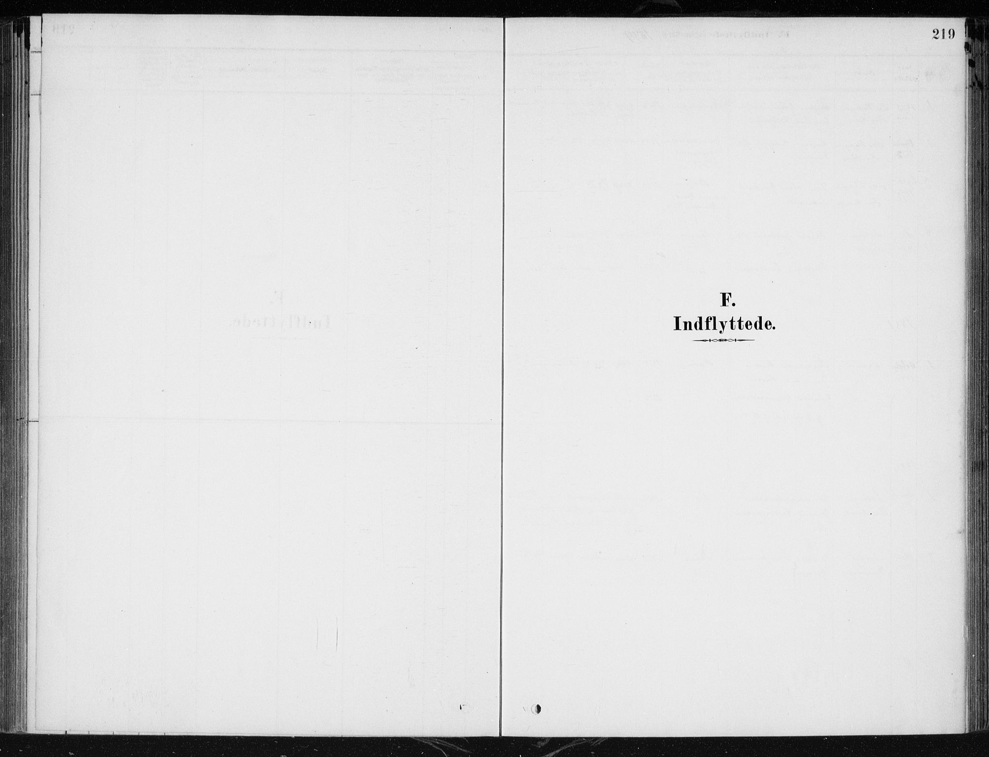 Krødsherad kirkebøker, SAKO/A-19/F/Fa/L0005: Parish register (official) no. 5, 1879-1888, p. 219