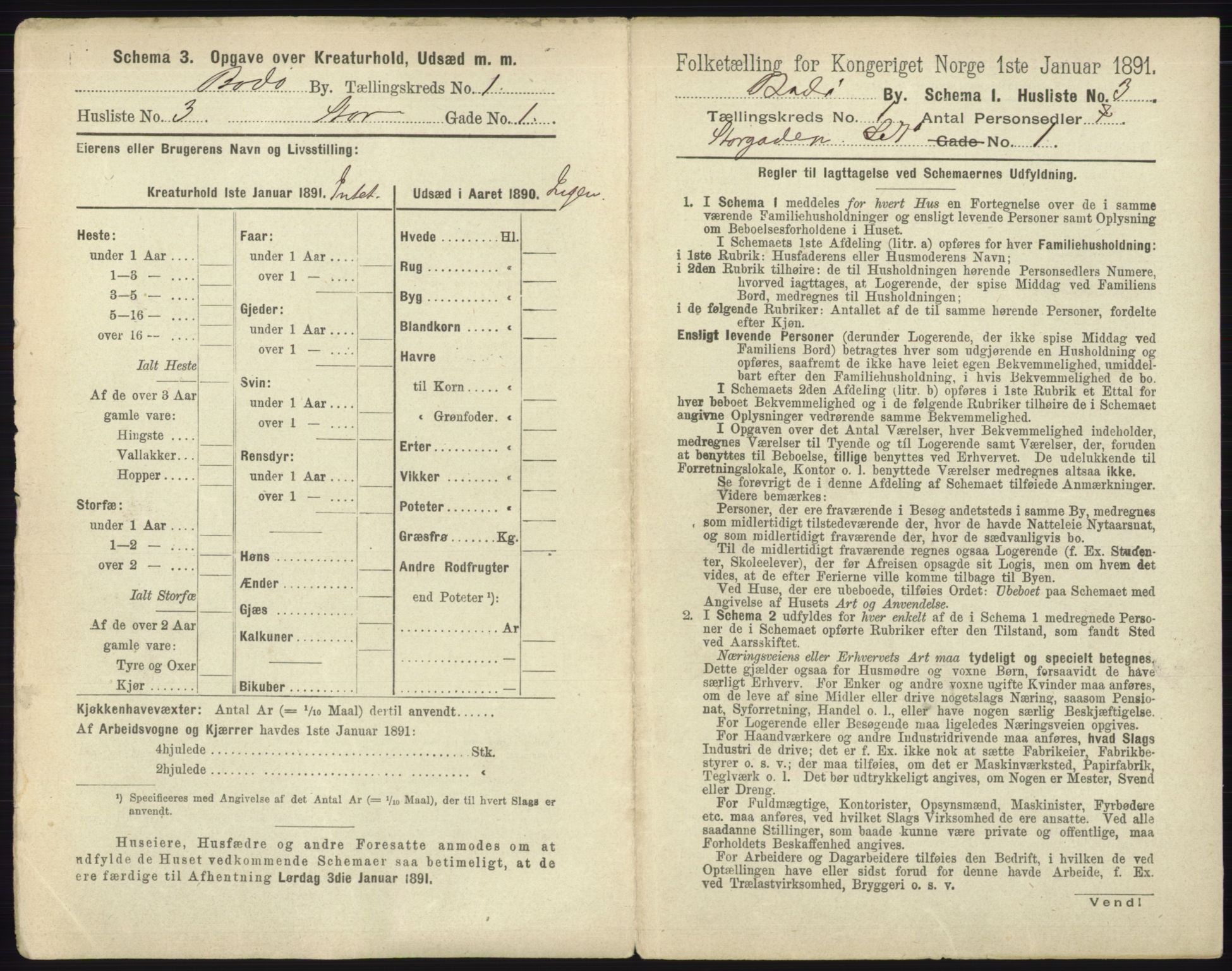 RA, 1891 census for 1804 Bodø, 1891, p. 21