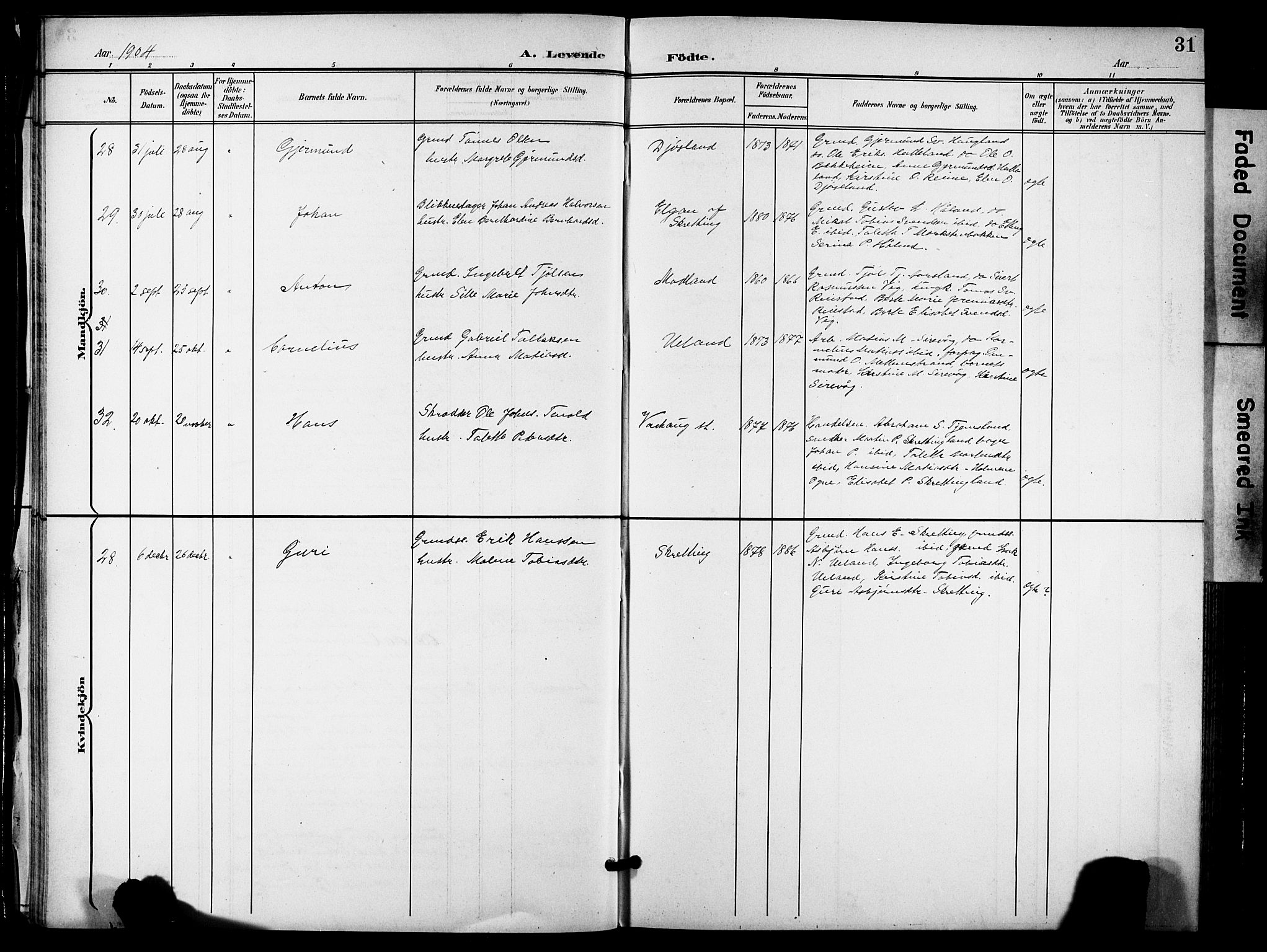 Hå sokneprestkontor, AV/SAST-A-101801/001/30BB/L0006: Parish register (copy) no. B 6, 1900-1924, p. 31