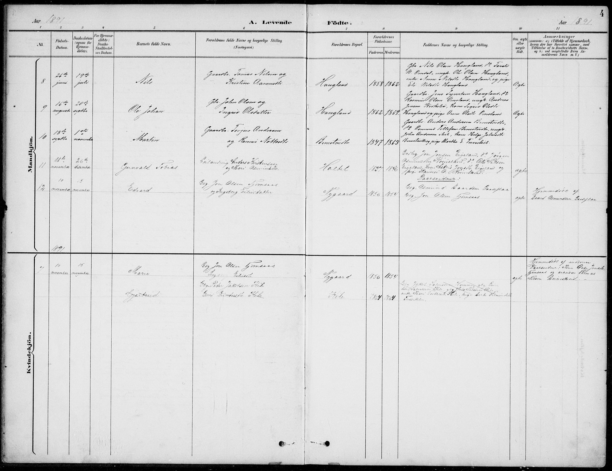 Vennesla sokneprestkontor, AV/SAK-1111-0045/Fb/Fba/L0003: Parish register (copy) no. B 3, 1890-1919, p. 4