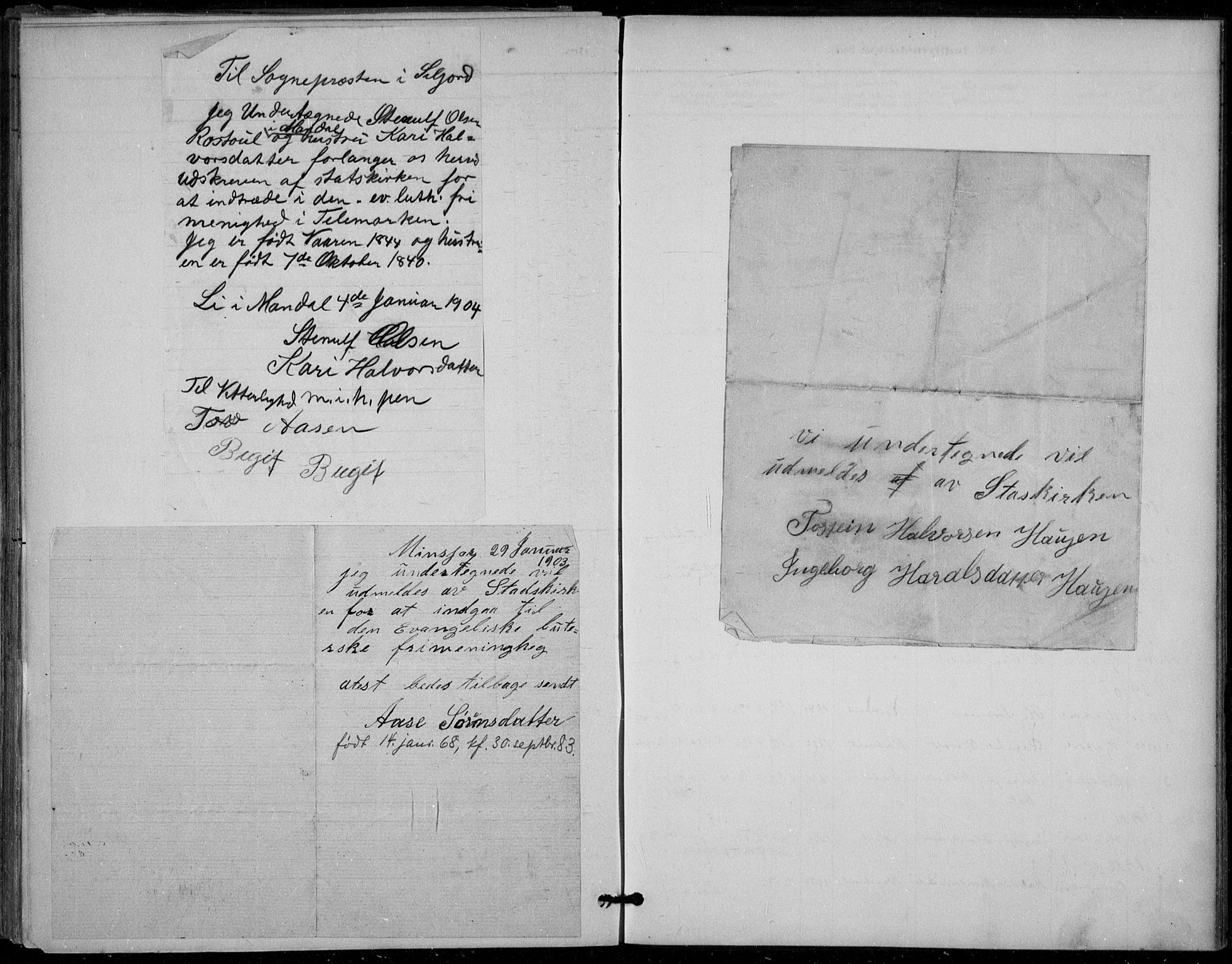 Seljord kirkebøker, AV/SAKO-A-20/F/Fb/L0002: Parish register (official) no. II 2, 1887-1917
