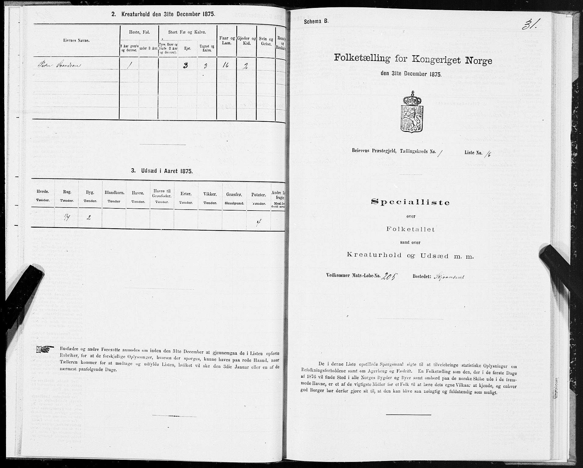 SAT, 1875 census for 1839P Beiarn, 1875, p. 1031