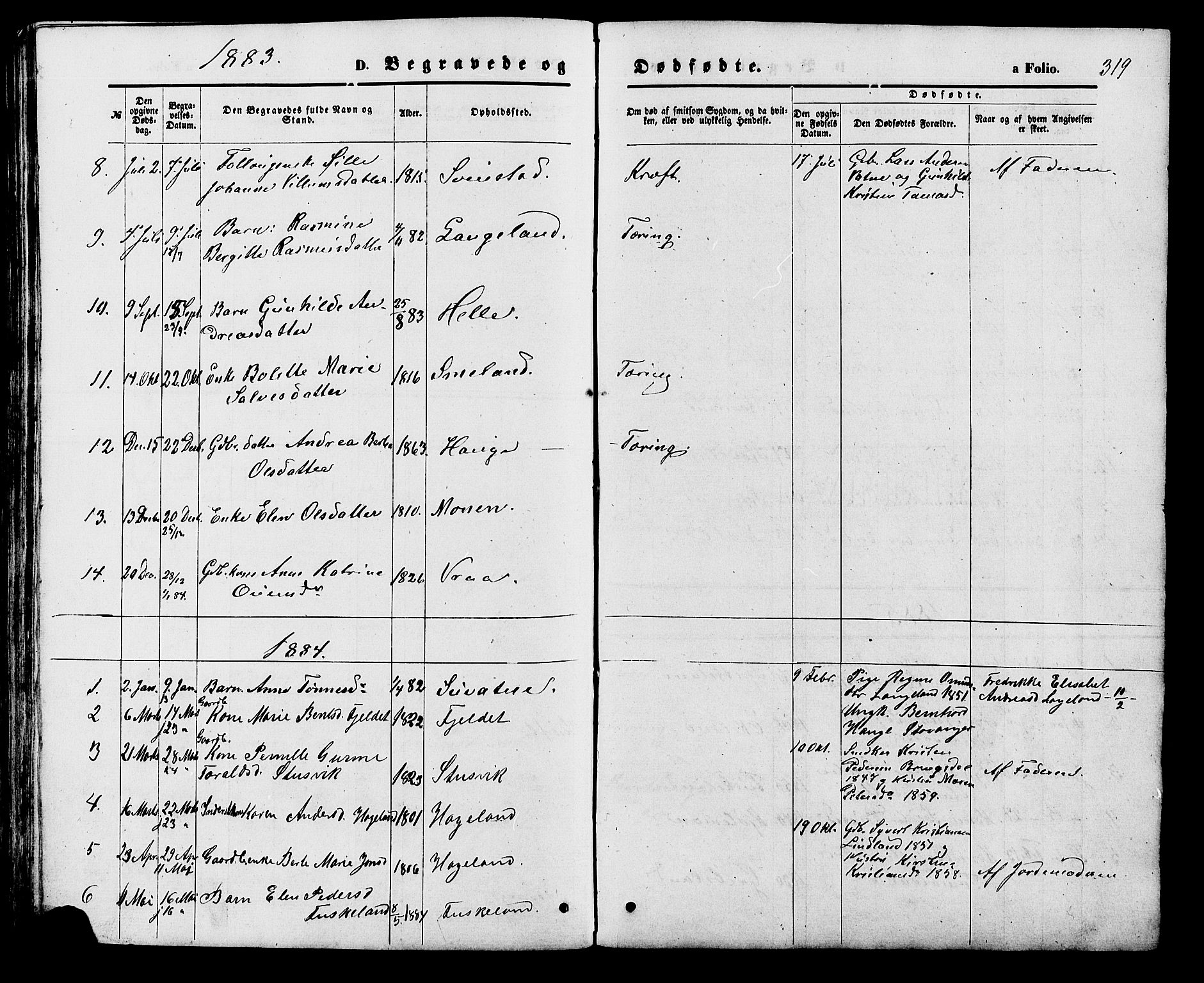 Holum sokneprestkontor, SAK/1111-0022/F/Fb/Fba/L0004: Parish register (copy) no. B 4, 1867-1890, p. 319