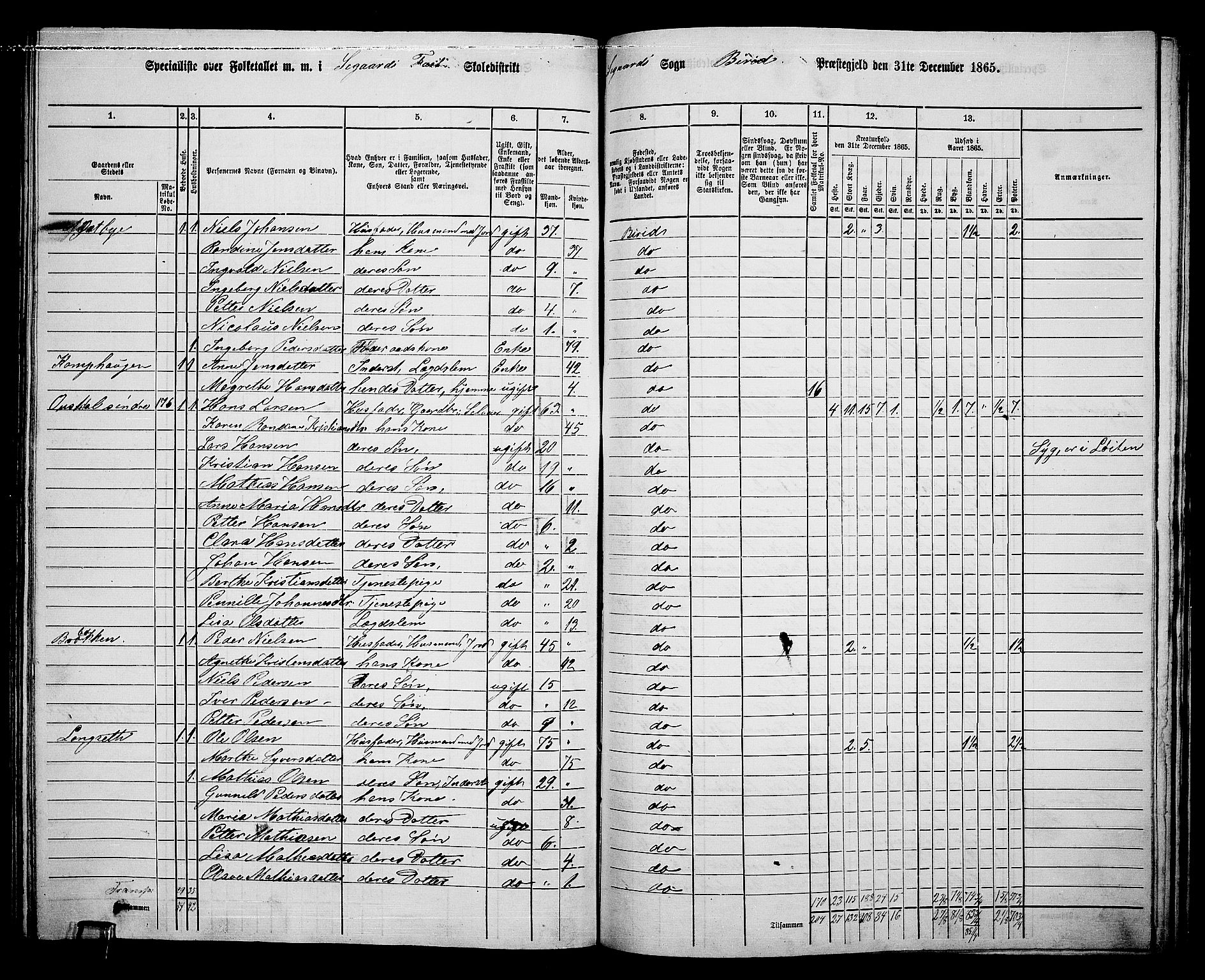 RA, 1865 census for Biri, 1865, p. 166