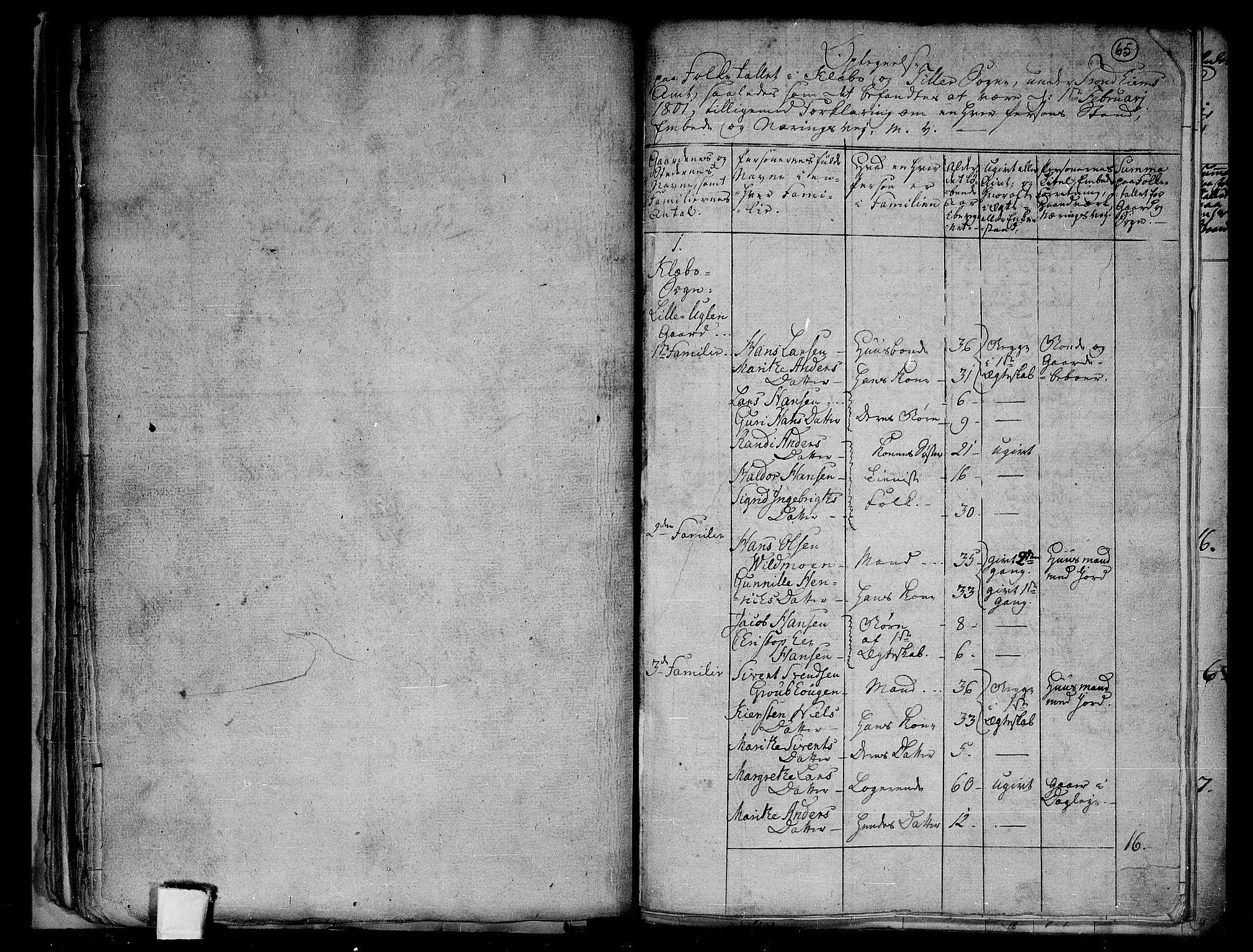 RA, 1801 census for 1662P Klæbu, 1801, p. 64b-65a
