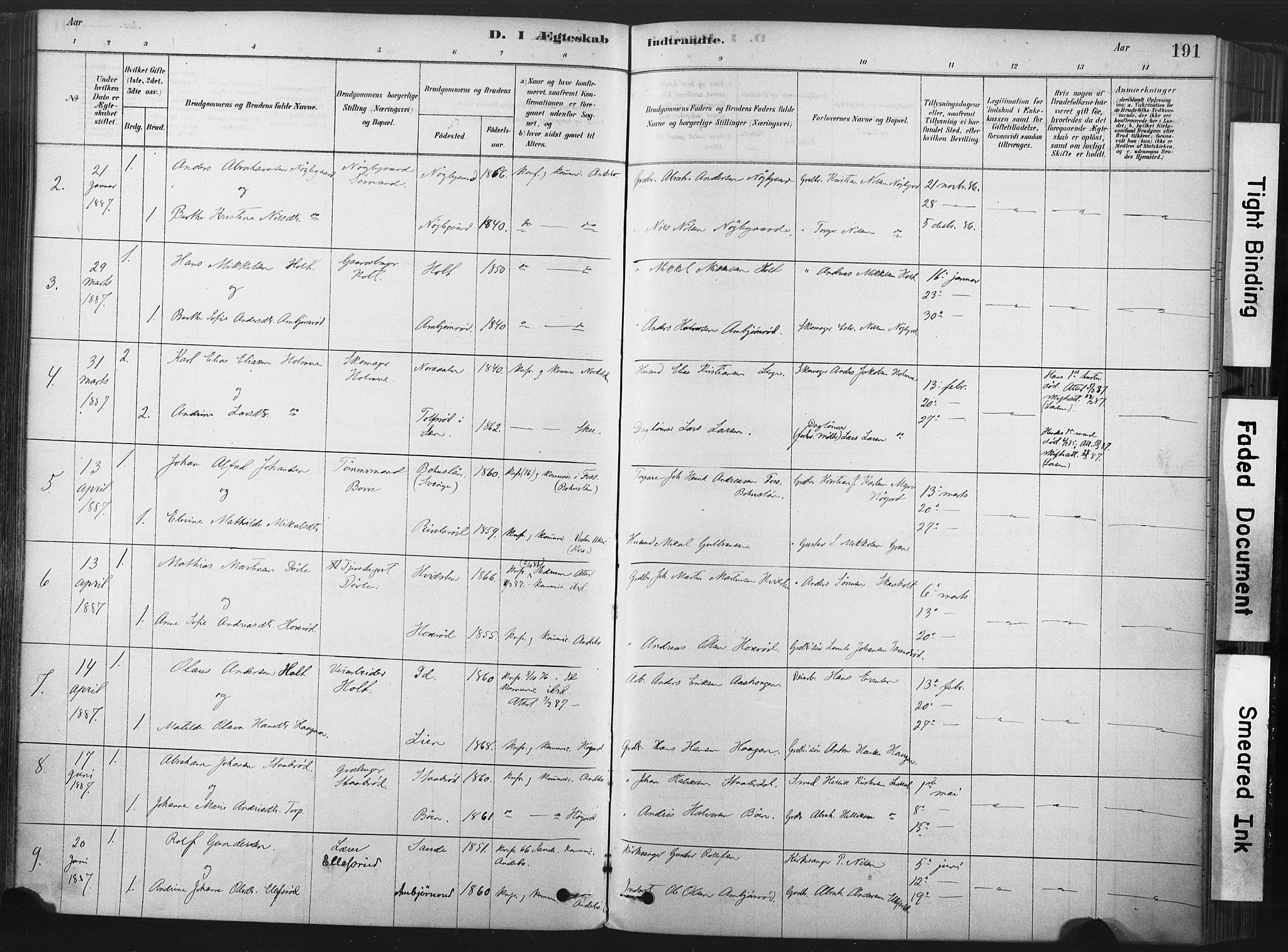 Andebu kirkebøker, AV/SAKO-A-336/F/Fa/L0007: Parish register (official) no. 7, 1878-1899, p. 191