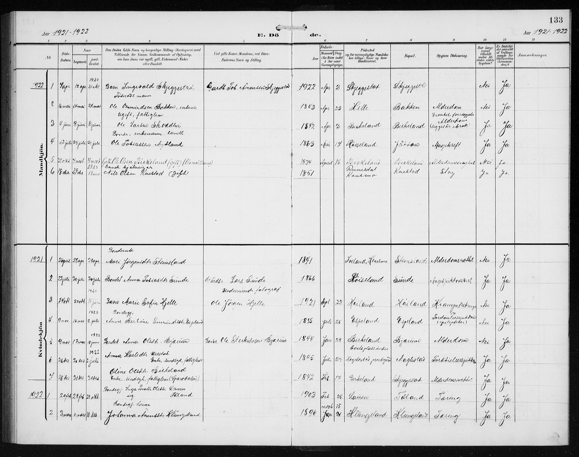 Hægebostad sokneprestkontor, SAK/1111-0024/F/Fb/Fba/L0005: Parish register (copy) no. B 5, 1907-1931, p. 133