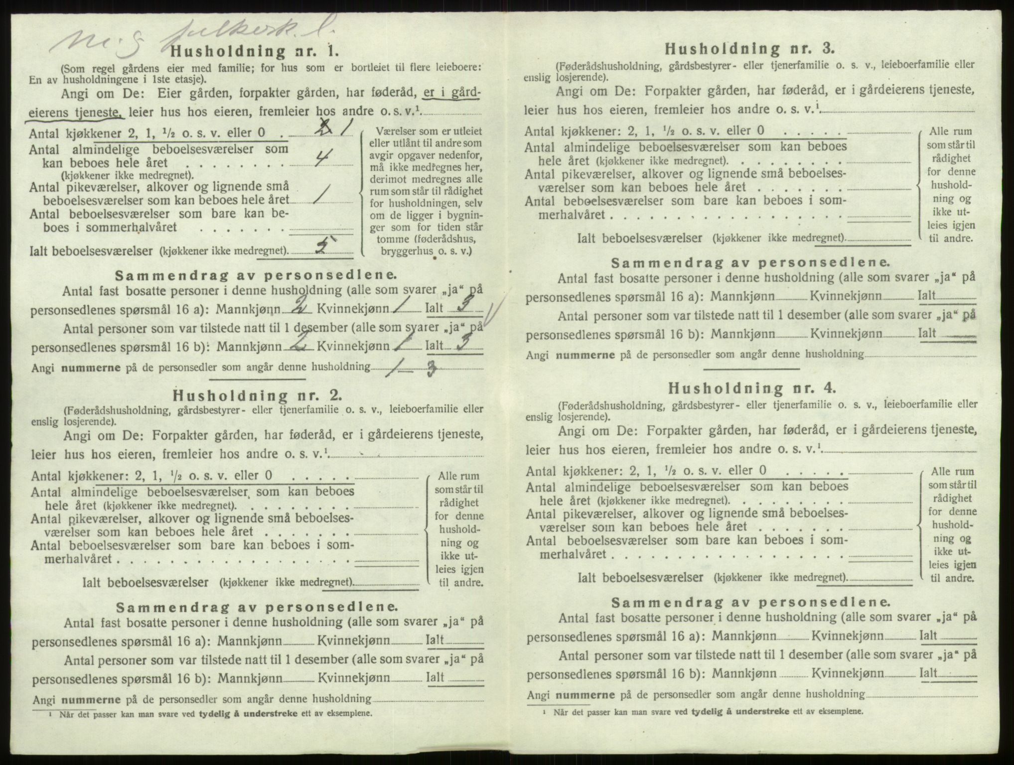 SAO, 1920 census for Skjeberg, 1920, p. 1299