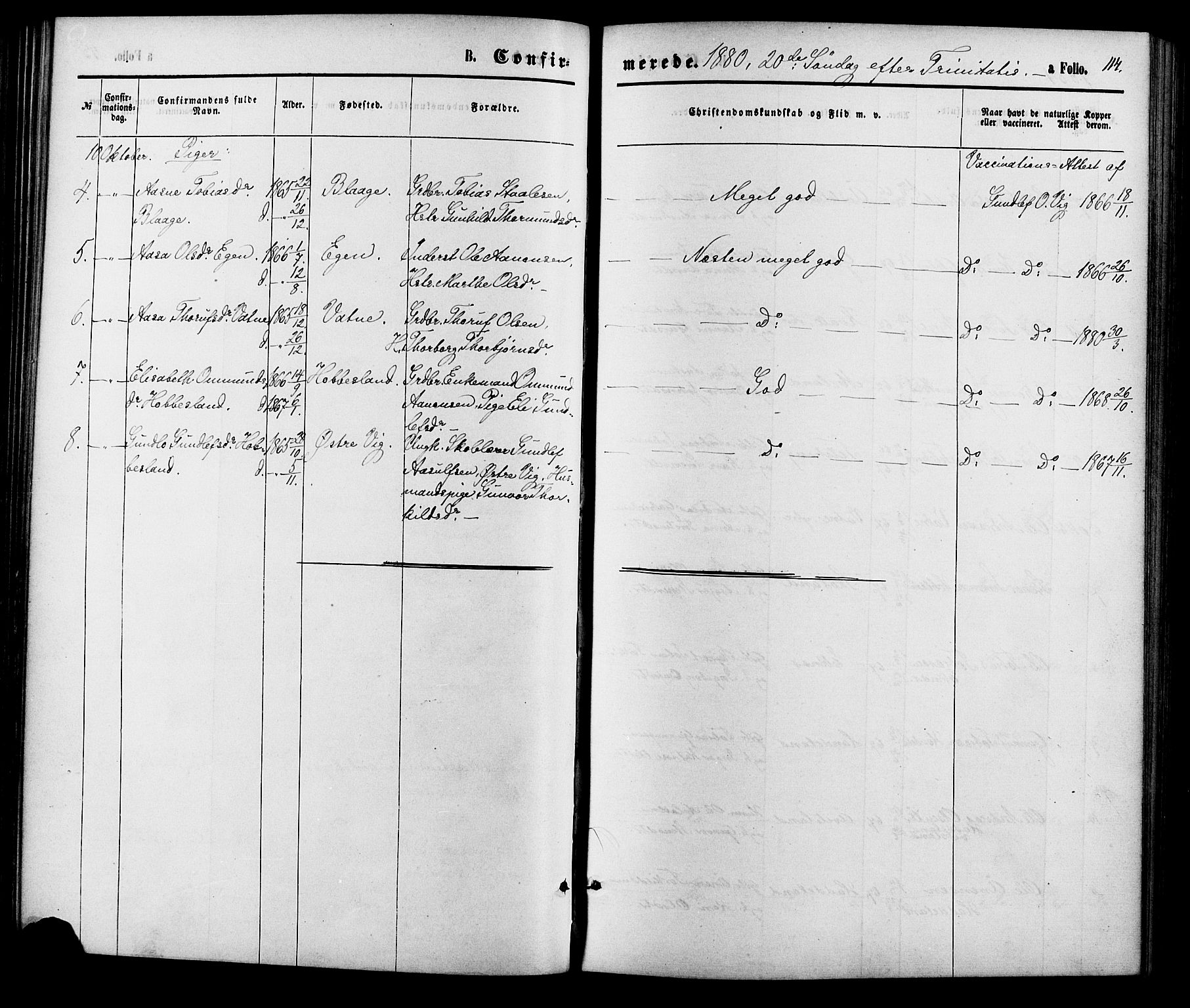 Hægebostad sokneprestkontor, SAK/1111-0024/F/Fa/Fab/L0003: Parish register (official) no. A 3, 1872-1886, p. 114