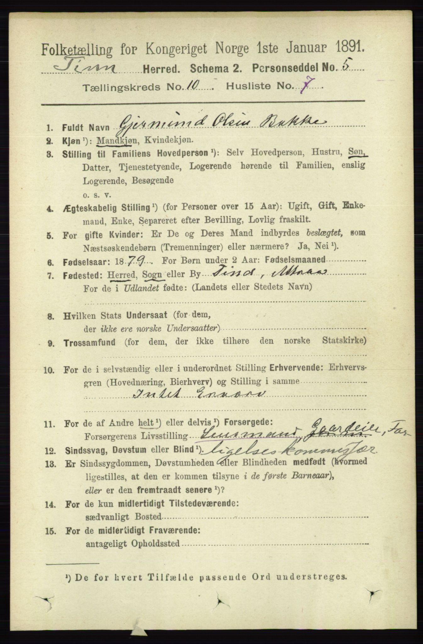 RA, 1891 census for 0826 Tinn, 1891, p. 2011