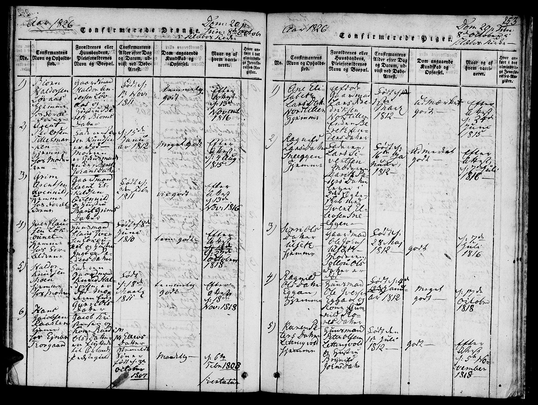 Ministerialprotokoller, klokkerbøker og fødselsregistre - Sør-Trøndelag, SAT/A-1456/618/L0439: Parish register (official) no. 618A04 /1, 1816-1843, p. 253