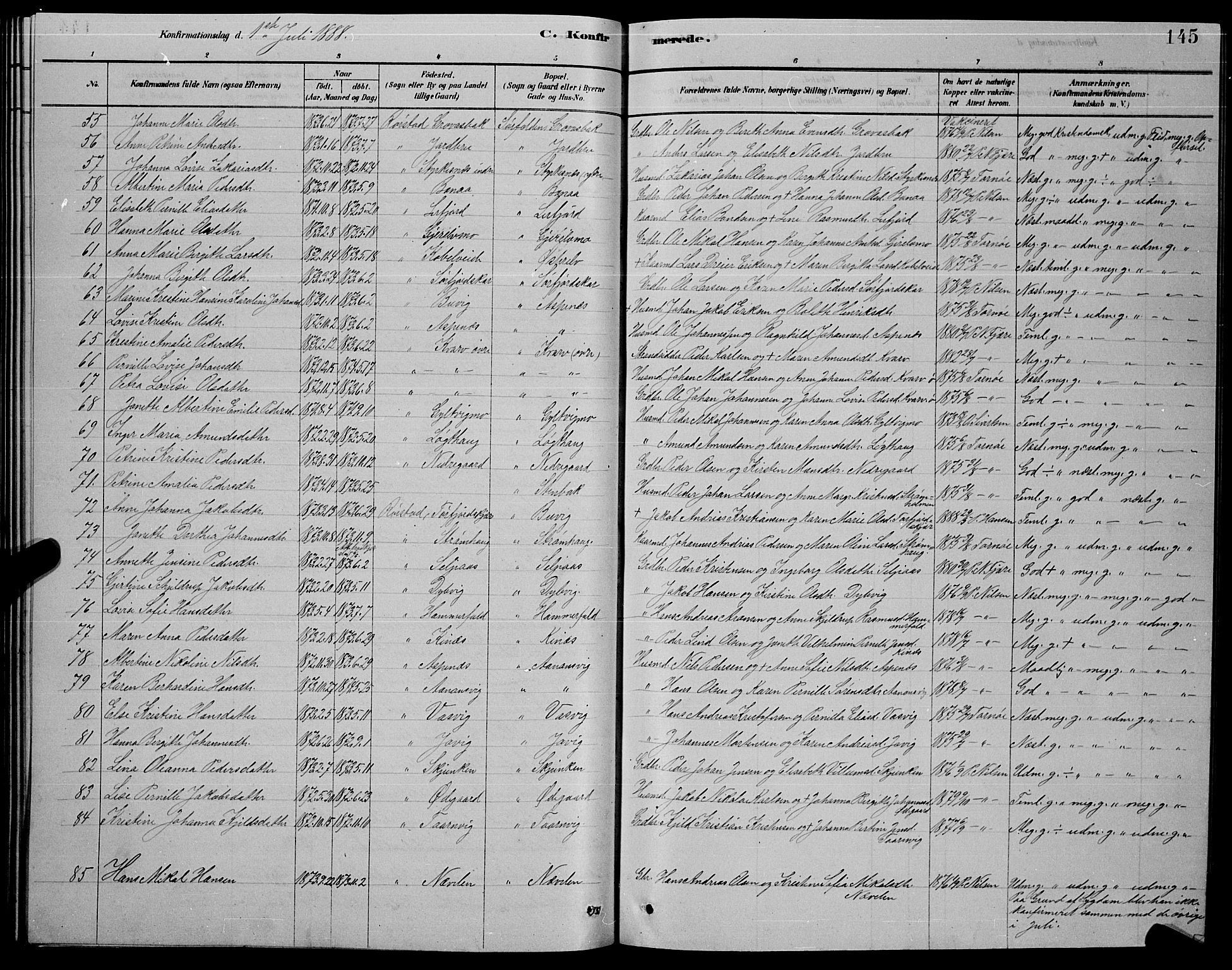 Ministerialprotokoller, klokkerbøker og fødselsregistre - Nordland, AV/SAT-A-1459/853/L0776: Parish register (copy) no. 853C04, 1878-1889, p. 145