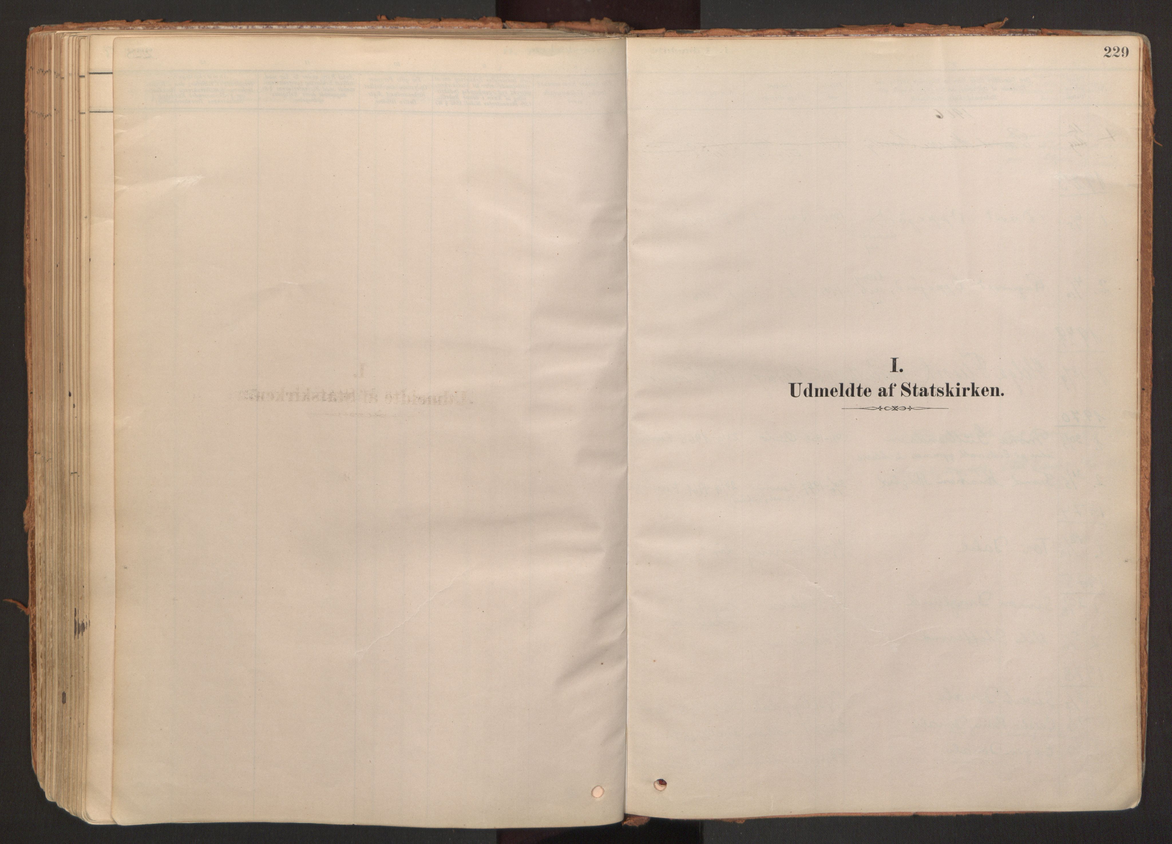 Hurdal prestekontor Kirkebøker, SAO/A-10889/F/Fb/L0003: Parish register (official) no. II 3, 1878-1920, p. 229