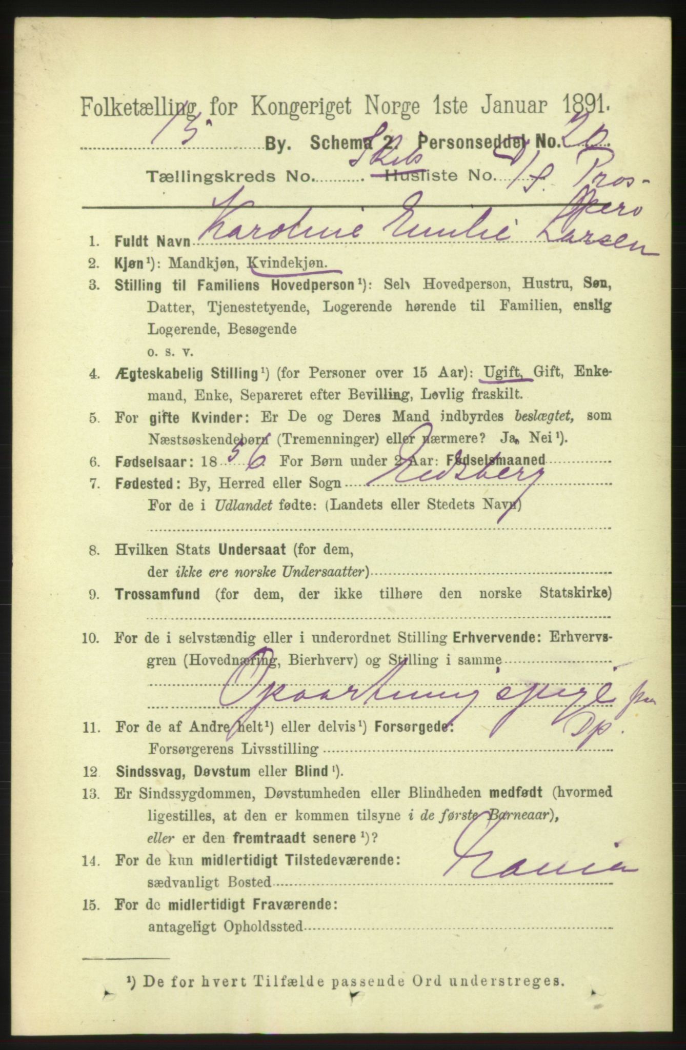 RA, 1891 census for 0602 Drammen, 1891, p. 25626