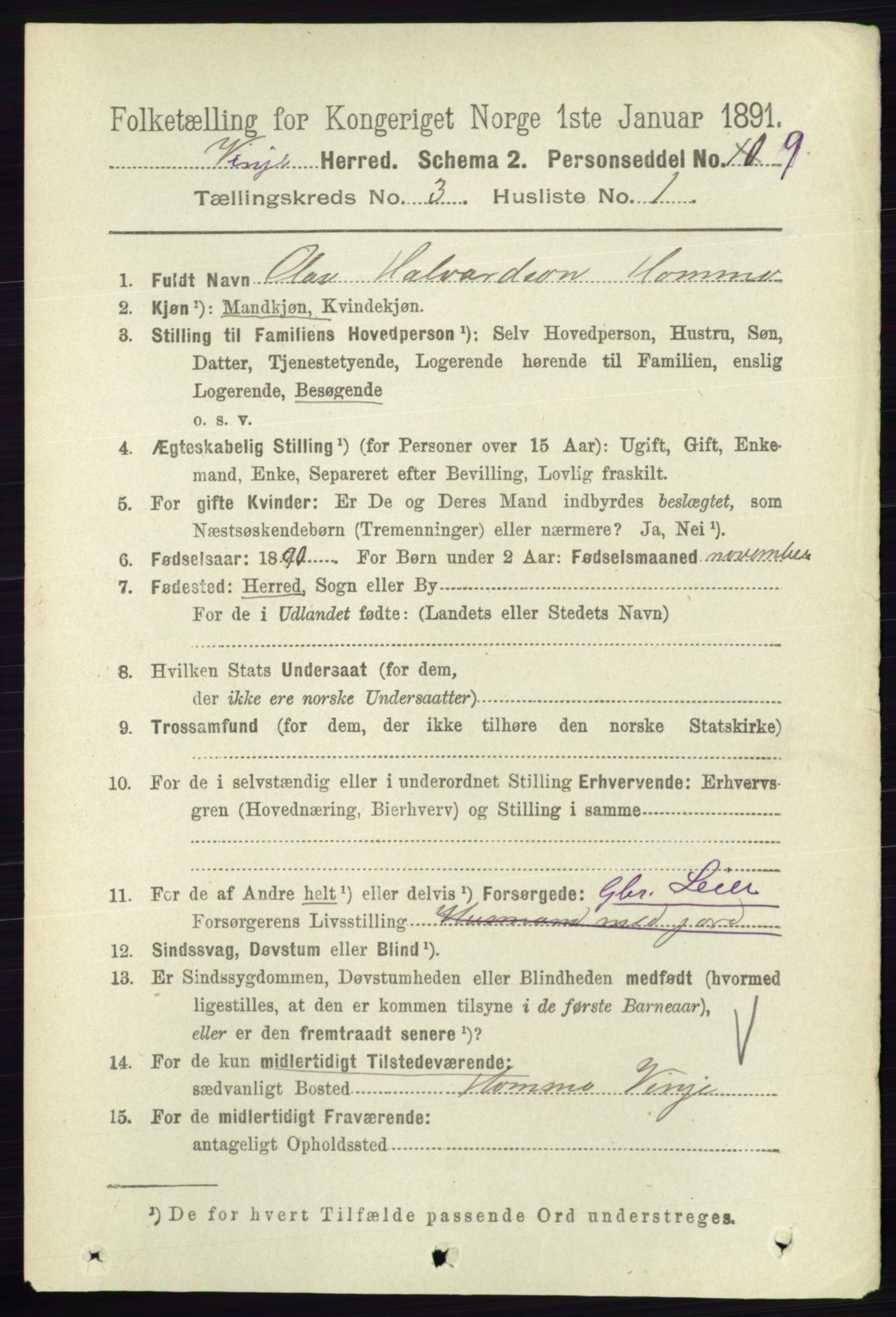 RA, 1891 census for 0834 Vinje, 1891, p. 652