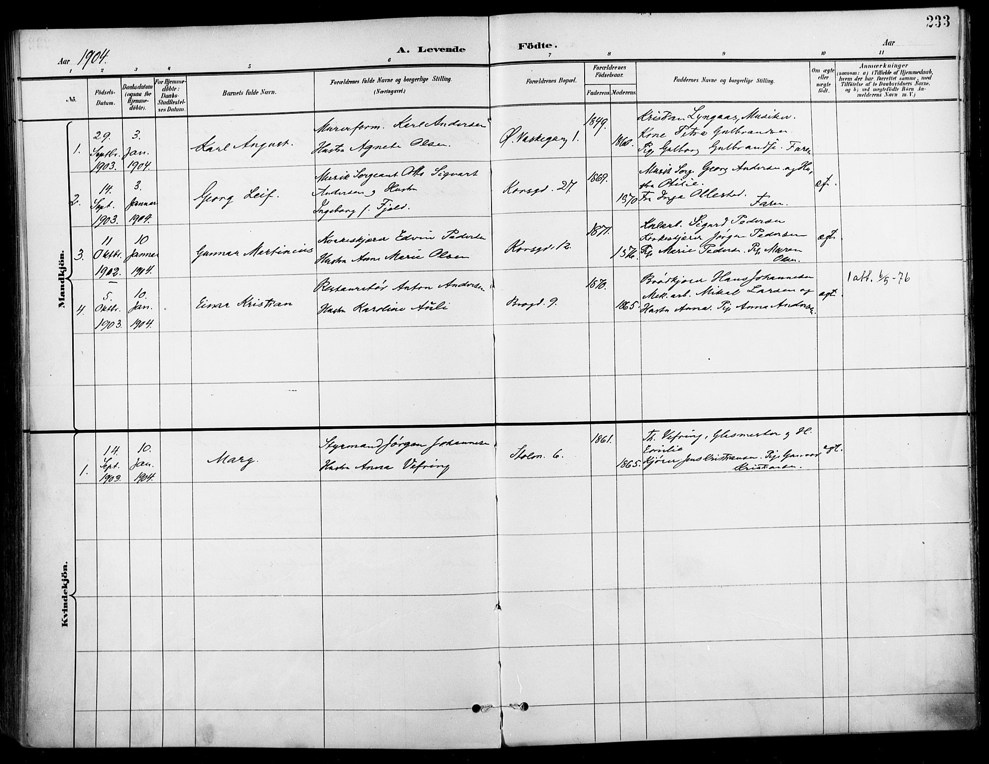 Jakob prestekontor Kirkebøker, SAO/A-10850/F/Fa/L0005: Parish register (official) no. 5, 1896-1903, p. 233