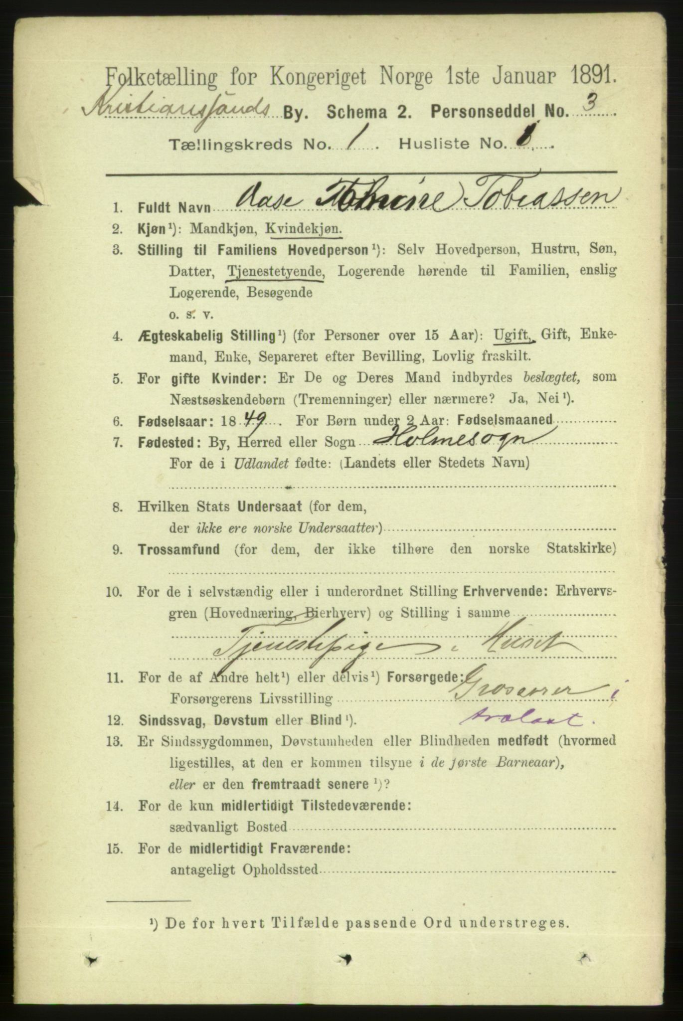 RA, 1891 census for 1001 Kristiansand, 1891, p. 2813