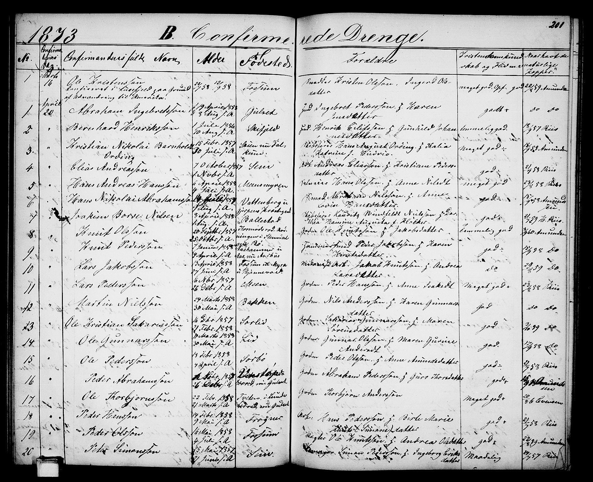 Gjerpen kirkebøker, SAKO/A-265/G/Ga/L0001: Parish register (copy) no. I 1, 1864-1882, p. 201