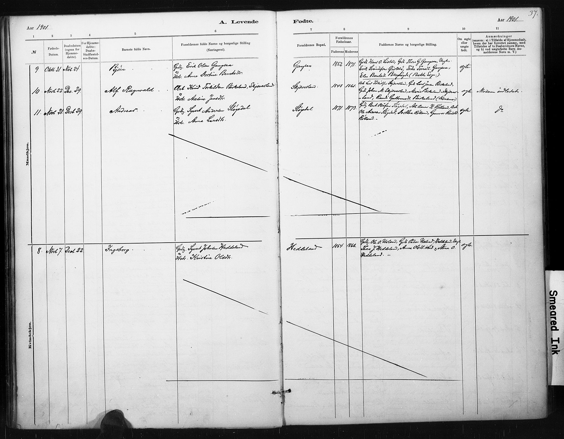 Holum sokneprestkontor, AV/SAK-1111-0022/F/Fa/Fac/L0004: Parish register (official) no. A 4, 1884-1907, p. 37