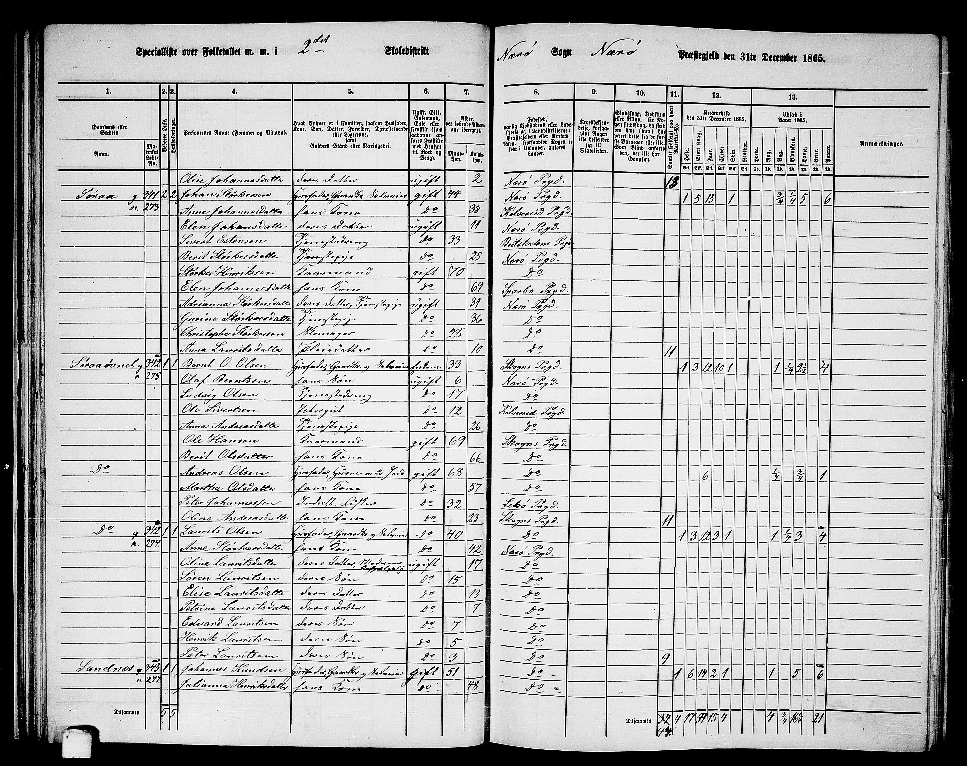 RA, 1865 census for Nærøy, 1865, p. 41