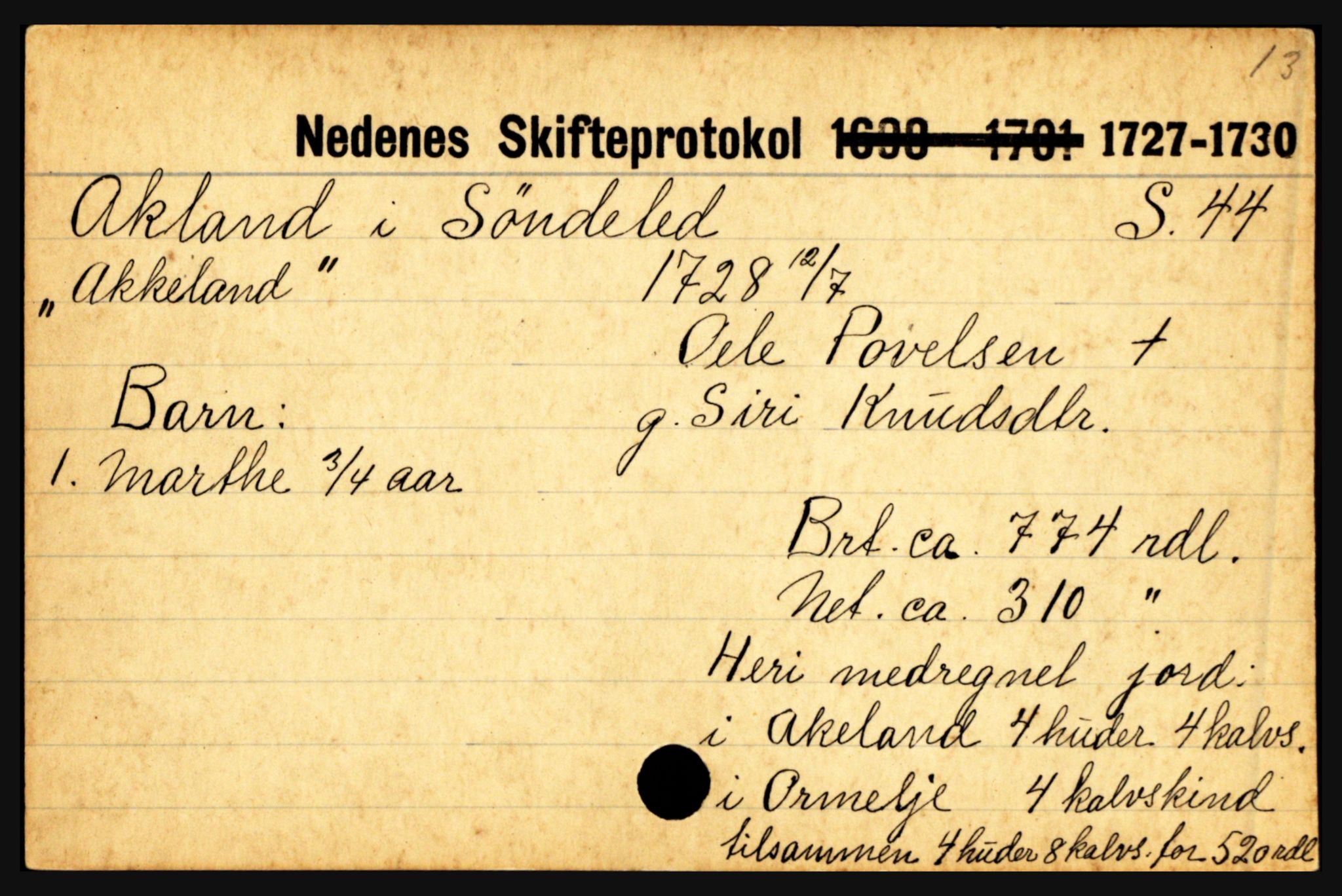 Nedenes sorenskriveri før 1824, AV/SAK-1221-0007/H, p. 27