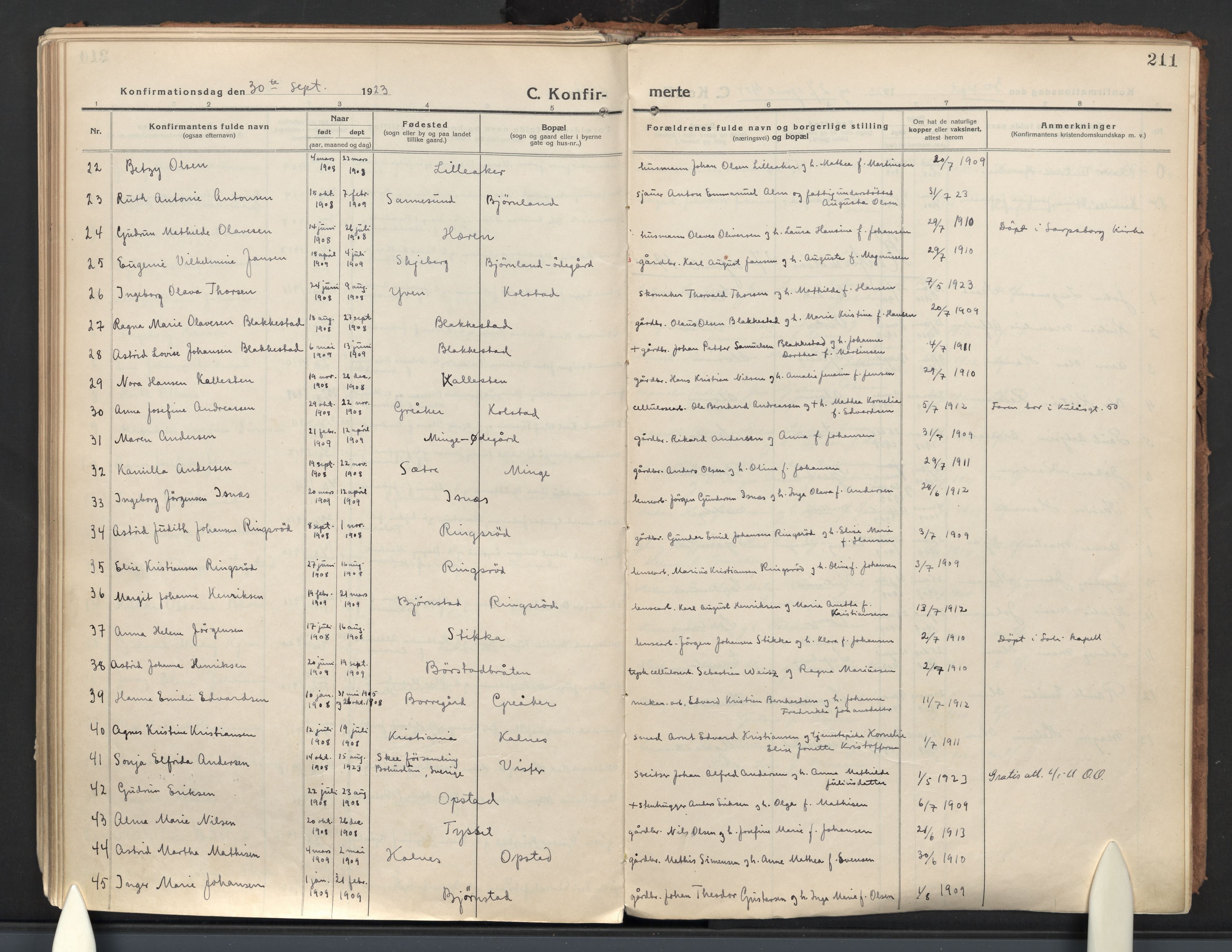 Tune prestekontor Kirkebøker, AV/SAO-A-2007/F/Fa/L0022: Parish register (official) no. 22, 1917-1925, p. 211