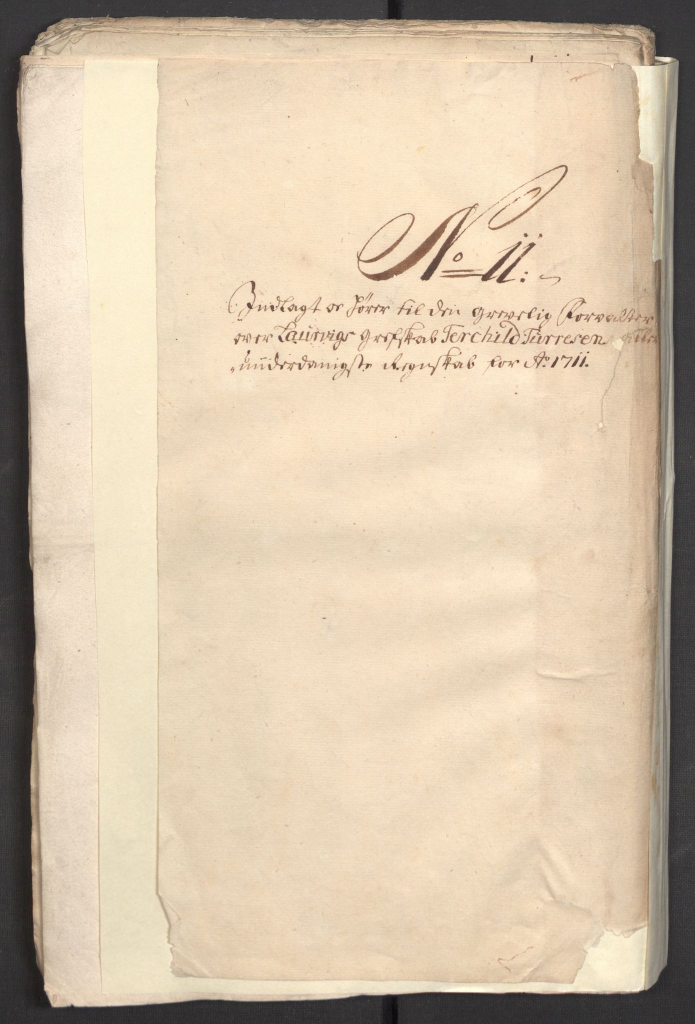 Rentekammeret inntil 1814, Reviderte regnskaper, Fogderegnskap, RA/EA-4092/R33/L1982: Fogderegnskap Larvik grevskap, 1711, p. 116