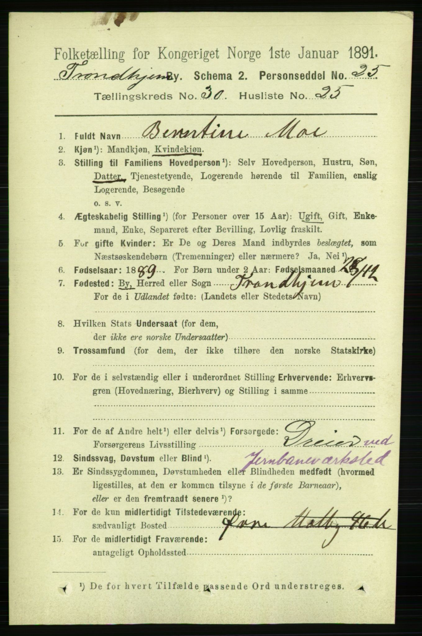 RA, 1891 census for 1601 Trondheim, 1891, p. 22691