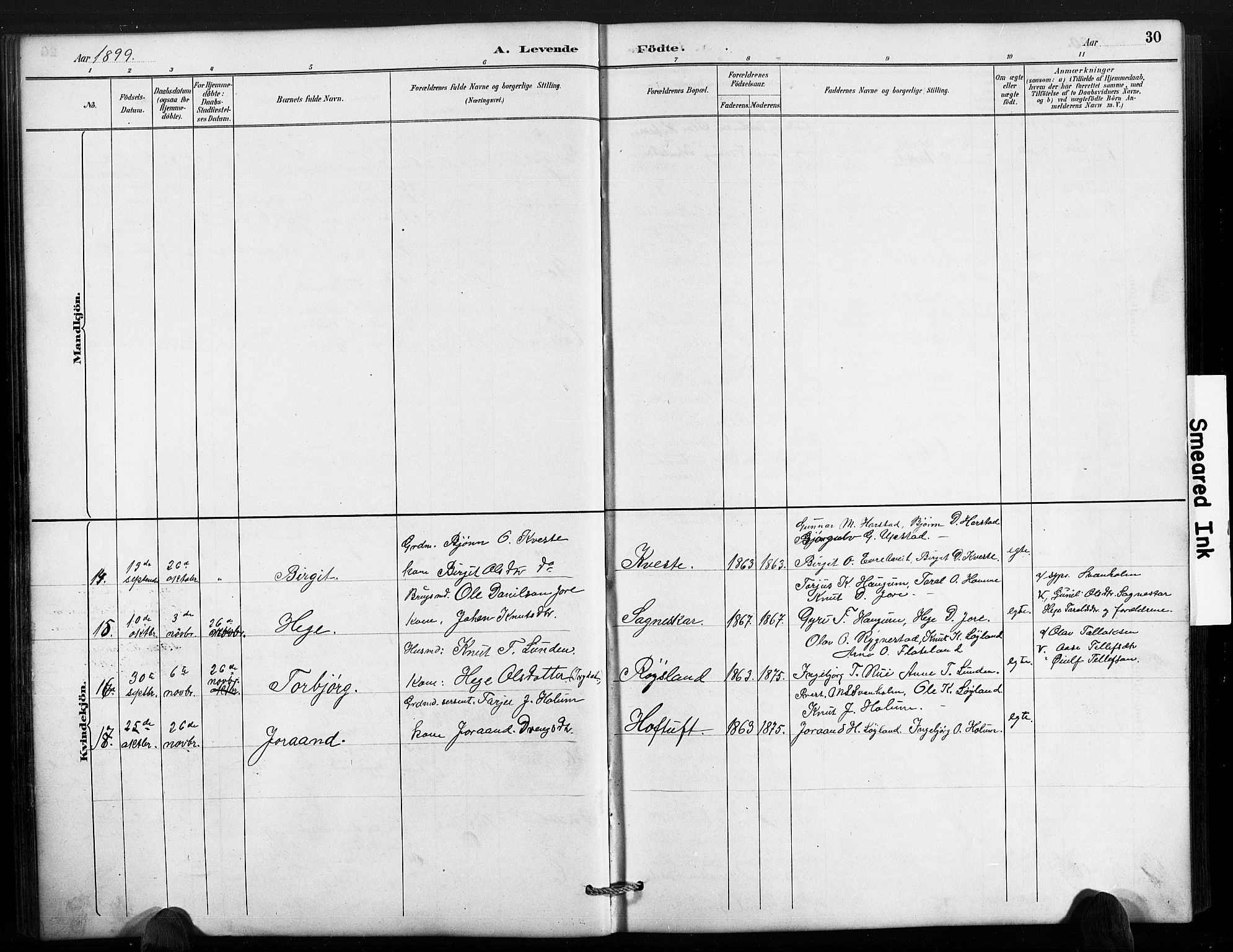 Valle sokneprestkontor, AV/SAK-1111-0044/F/Fb/Fbc/L0004: Parish register (copy) no. B 4, 1890-1928, p. 30