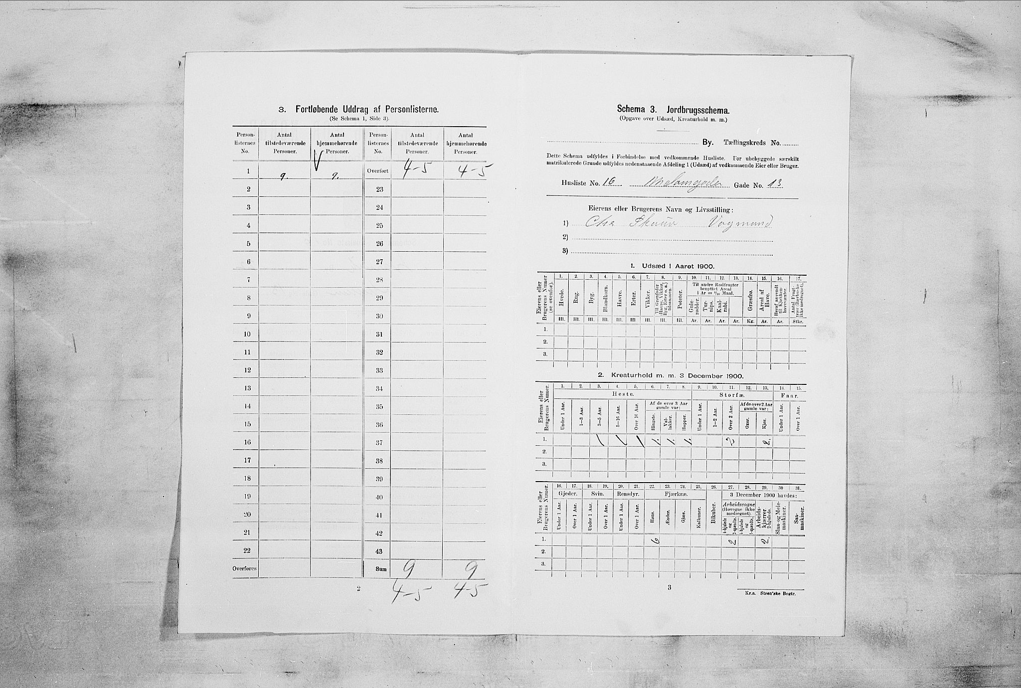 RA, 1900 census for Larvik, 1900, p. 2233