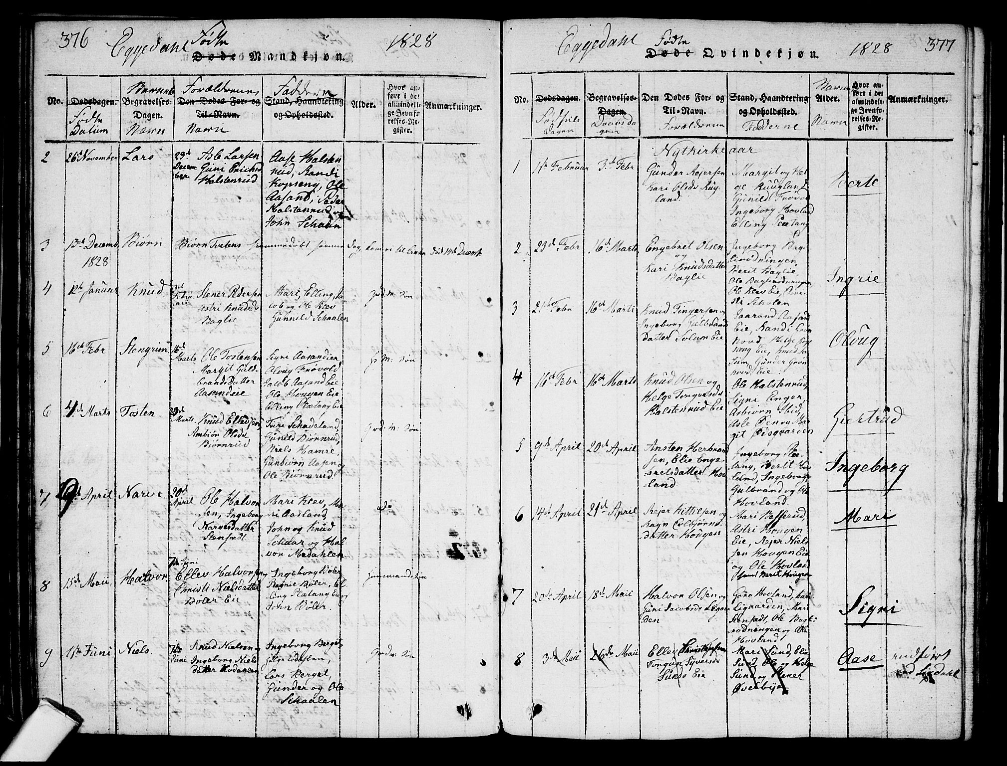 Sigdal kirkebøker, AV/SAKO-A-245/G/Ga/L0001: Parish register (copy) no. I 1 /2, 1816-1835, p. 376-377