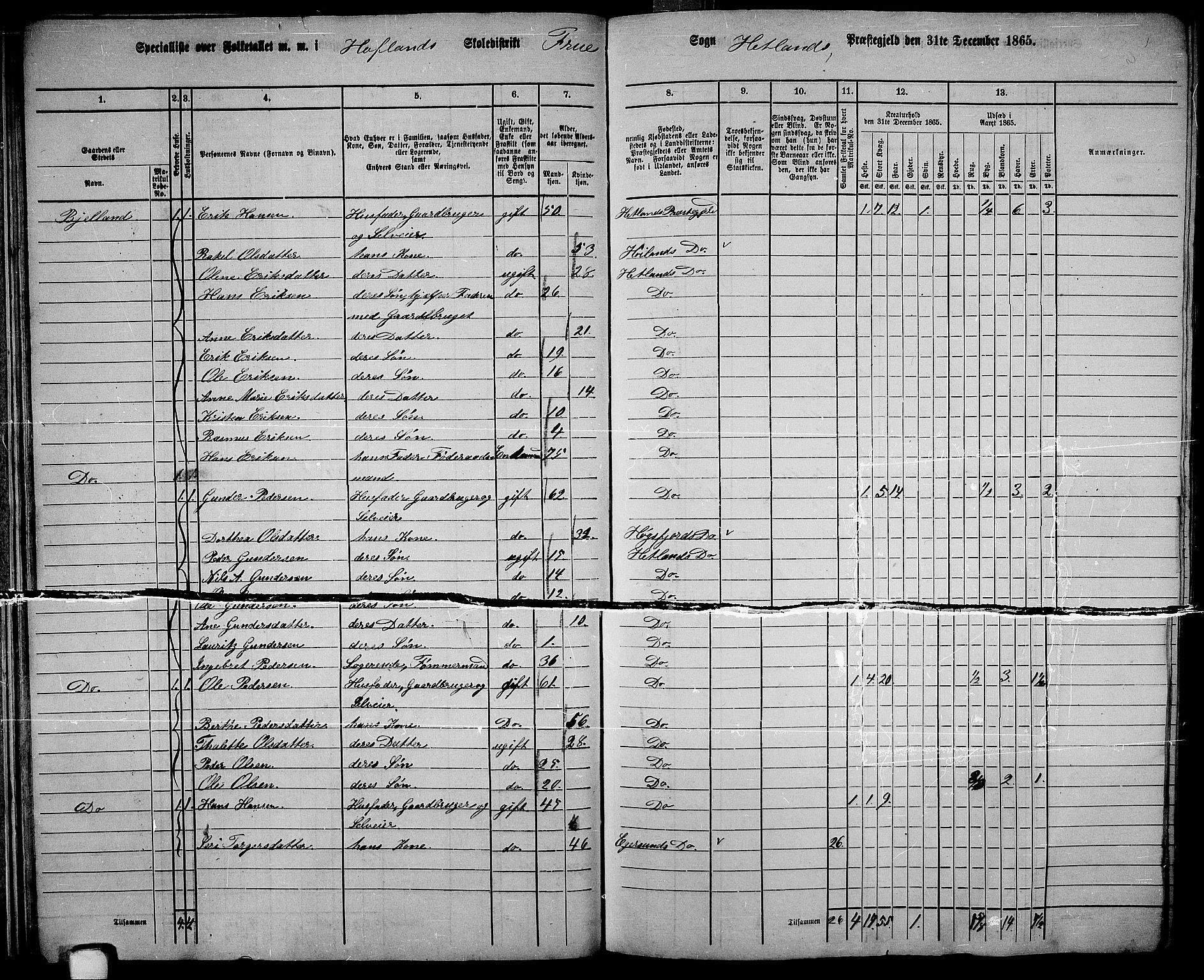 RA, 1865 census for Hetland, 1865, p. 27