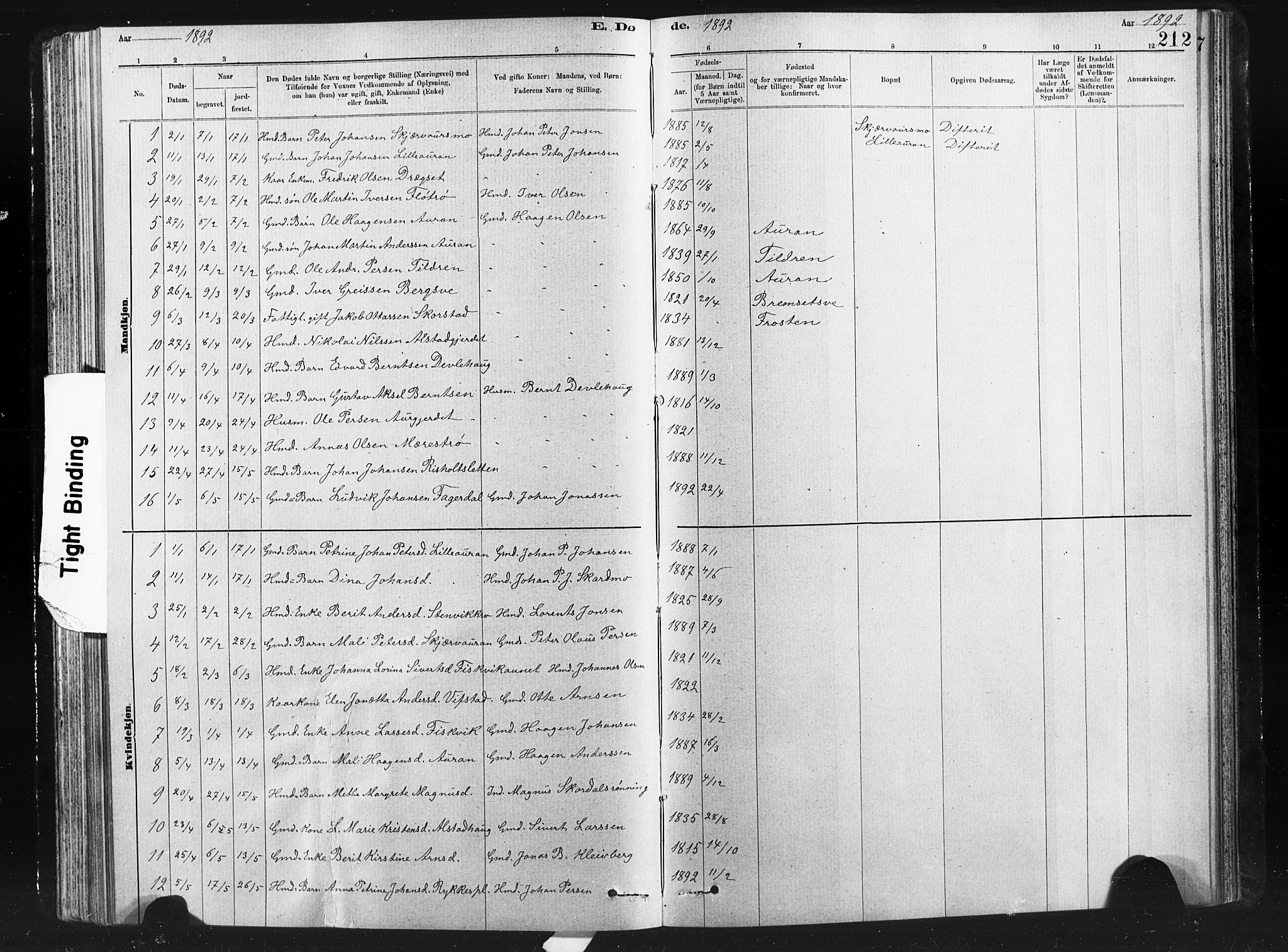 Ministerialprotokoller, klokkerbøker og fødselsregistre - Nord-Trøndelag, AV/SAT-A-1458/712/L0103: Parish register (copy) no. 712C01, 1878-1917, p. 212