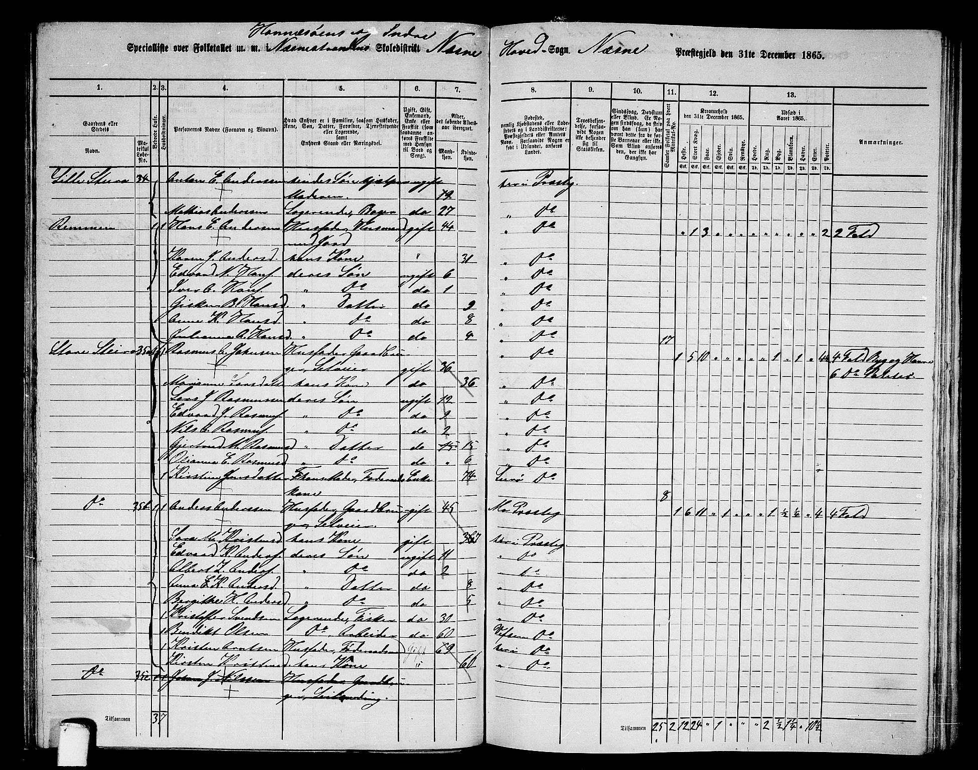 RA, 1865 census for Nesna, 1865, p. 88