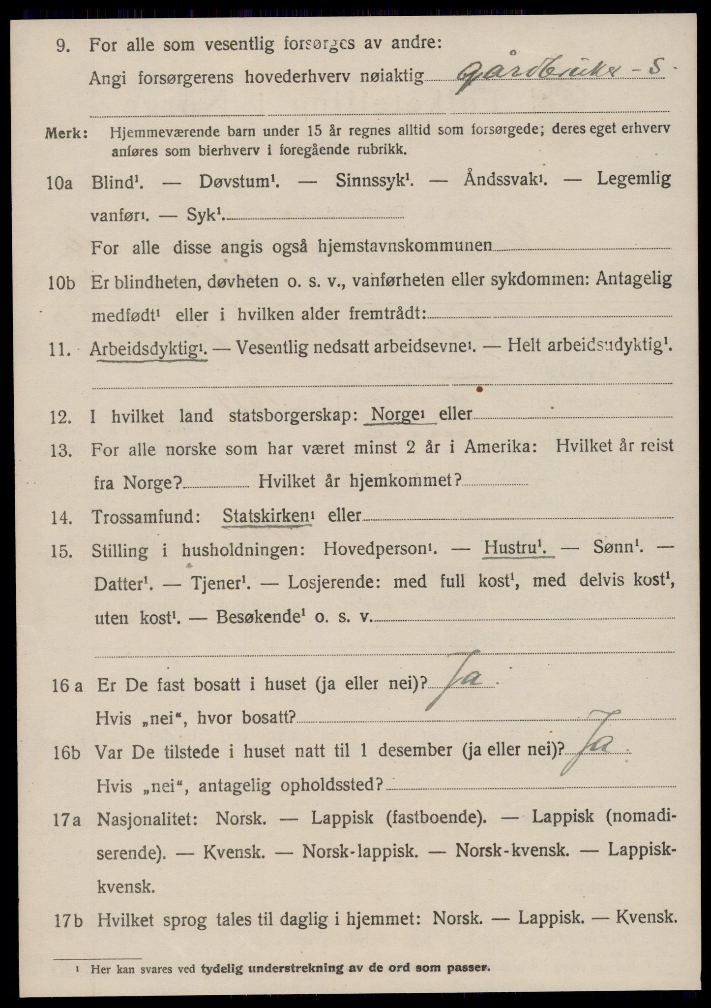 SAT, 1920 census for Hemne, 1920, p. 6125