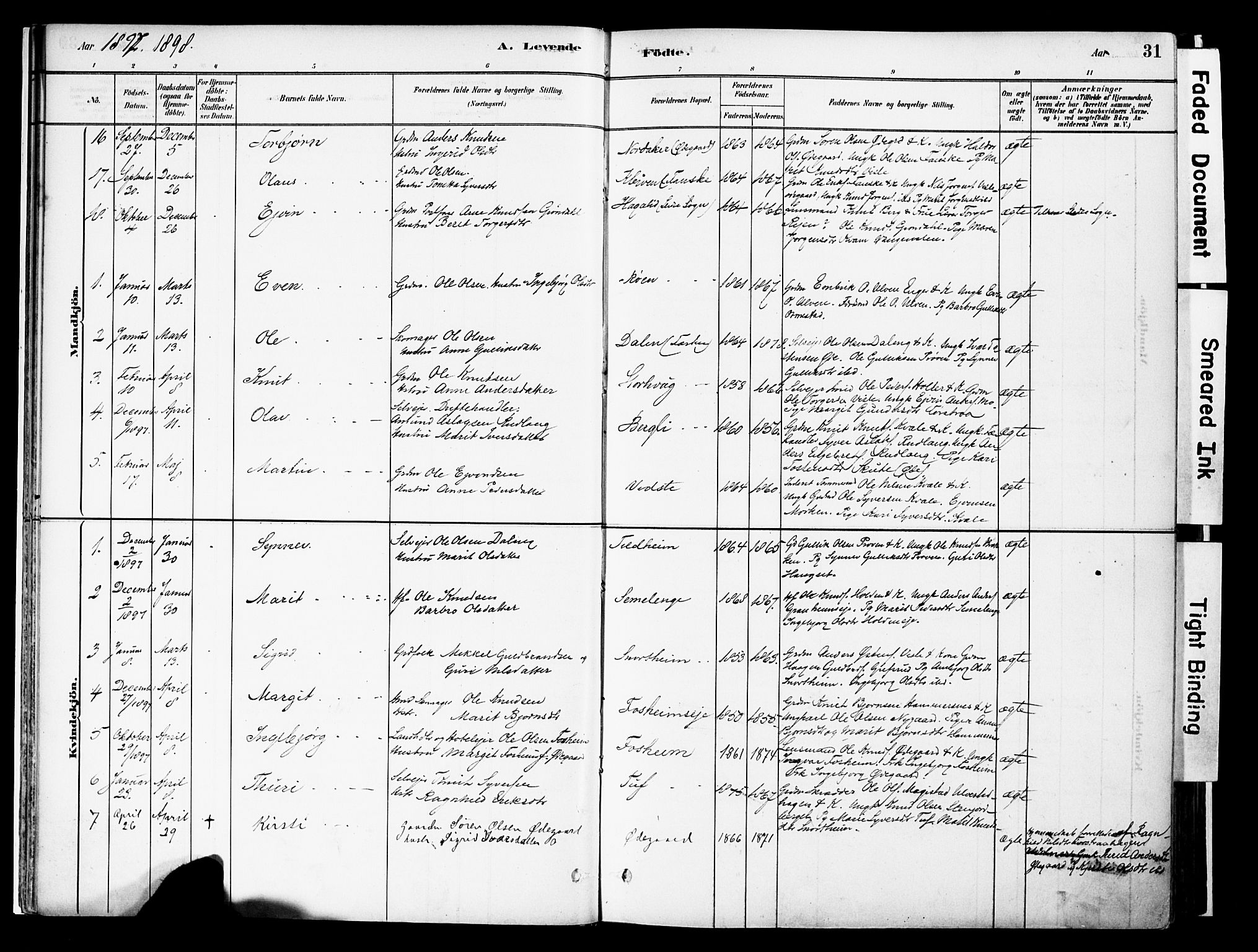 Vestre Slidre prestekontor, SAH/PREST-136/H/Ha/Haa/L0006: Parish register (official) no. 6, 1881-1912, p. 31
