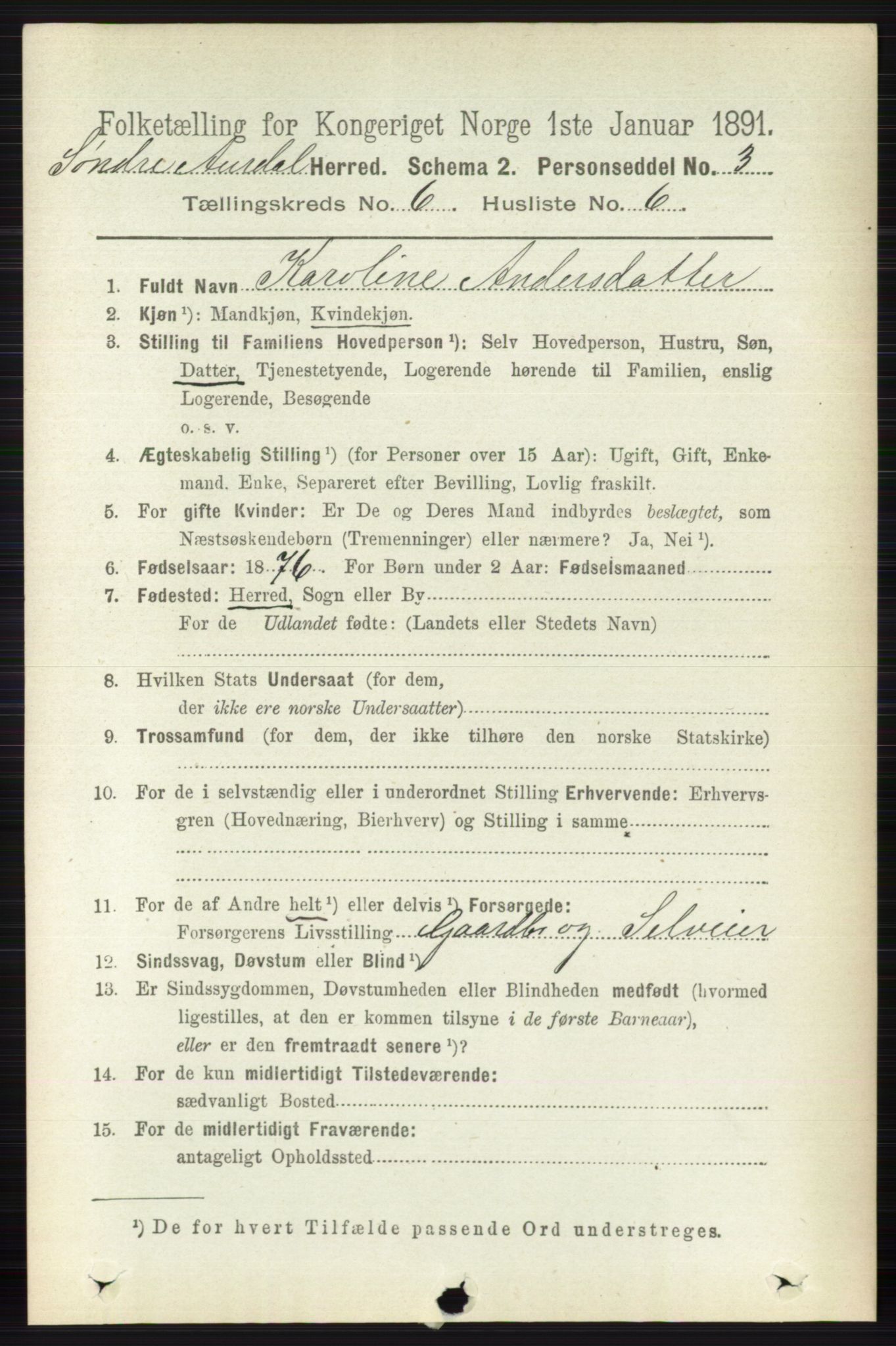 RA, 1891 census for 0540 Sør-Aurdal, 1891, p. 3829