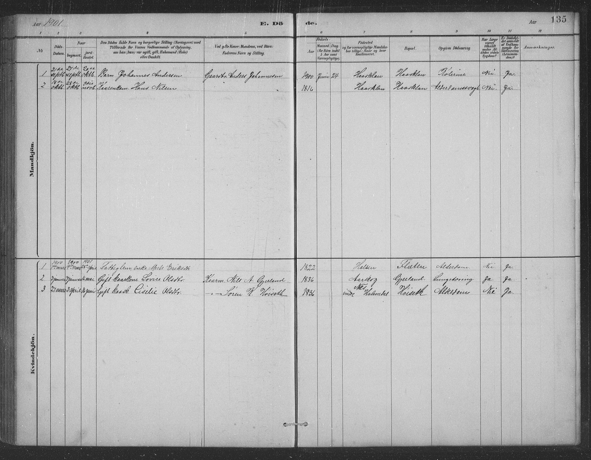 Førde sokneprestembete, AV/SAB-A-79901/H/Hab/Habc/L0002: Parish register (copy) no. C 2, 1881-1911, p. 135