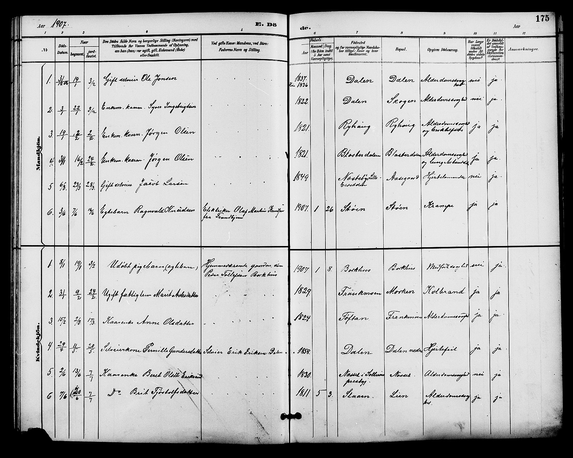 Alvdal prestekontor, SAH/PREST-060/H/Ha/Hab/L0004: Parish register (copy) no. 4, 1894-1910, p. 175