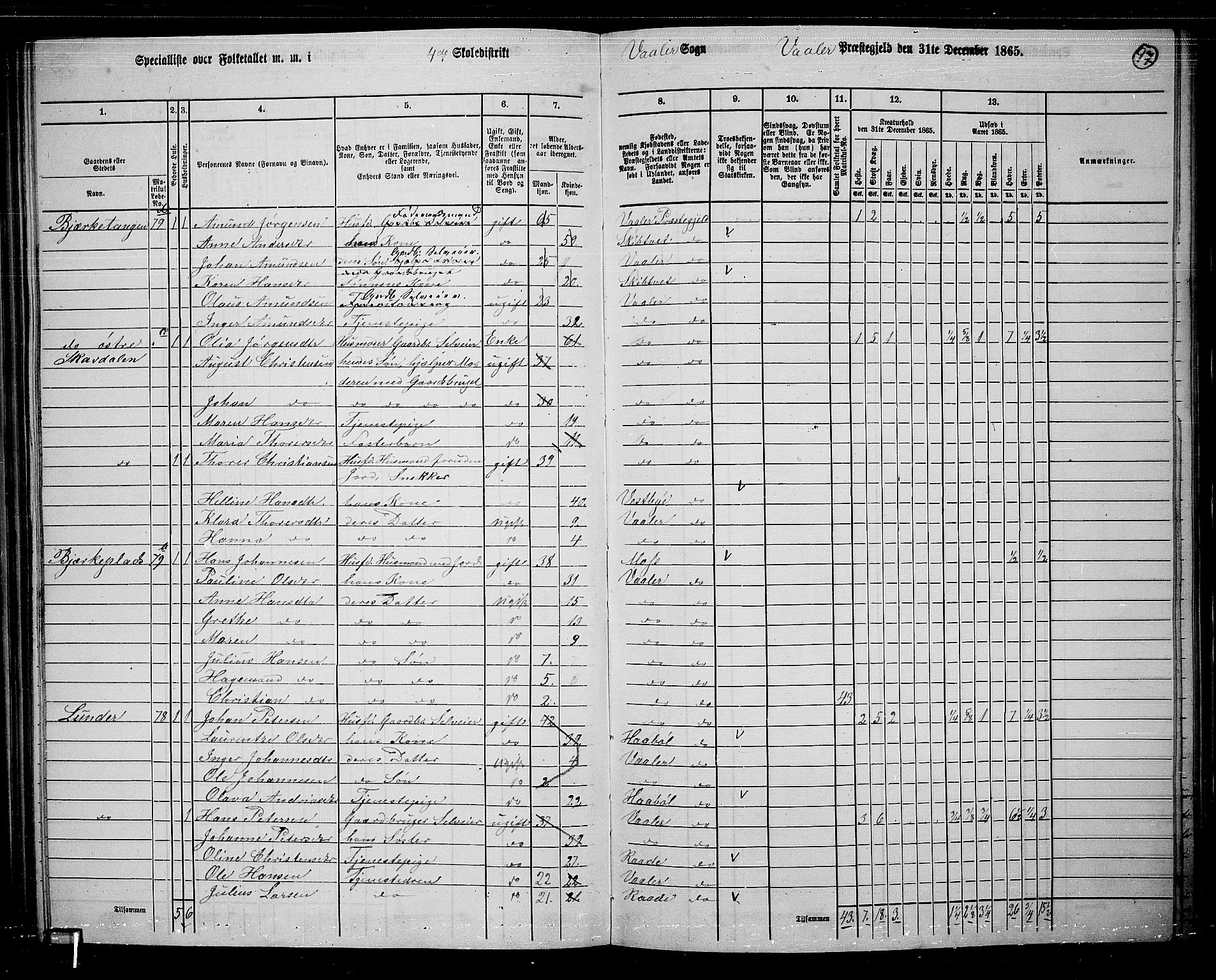 RA, 1865 census for Våler, 1865, p. 87