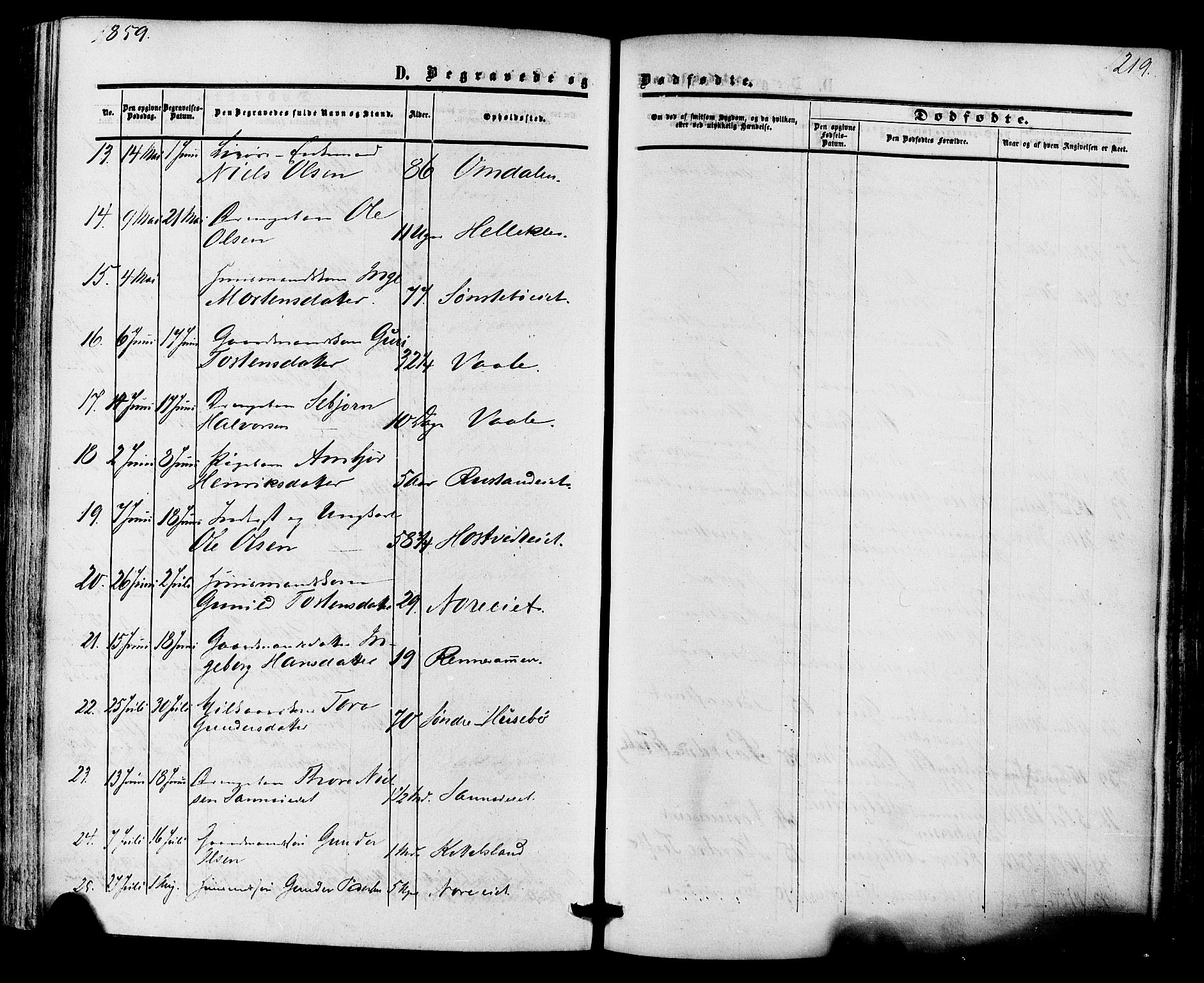 Nore kirkebøker, SAKO/A-238/F/Fa/L0003: Parish register (official) no. I 3, 1858-1866, p. 219