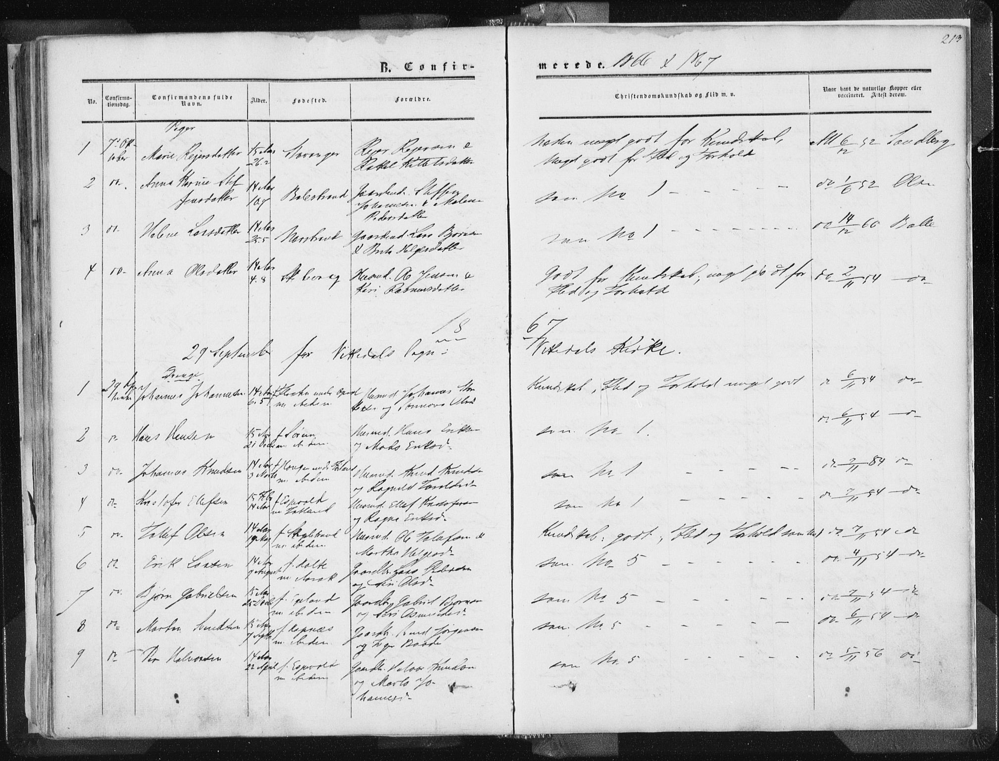 Vikedal sokneprestkontor, AV/SAST-A-101840/01/IV: Parish register (official) no. A 6.1, 1851-1867, p. 213