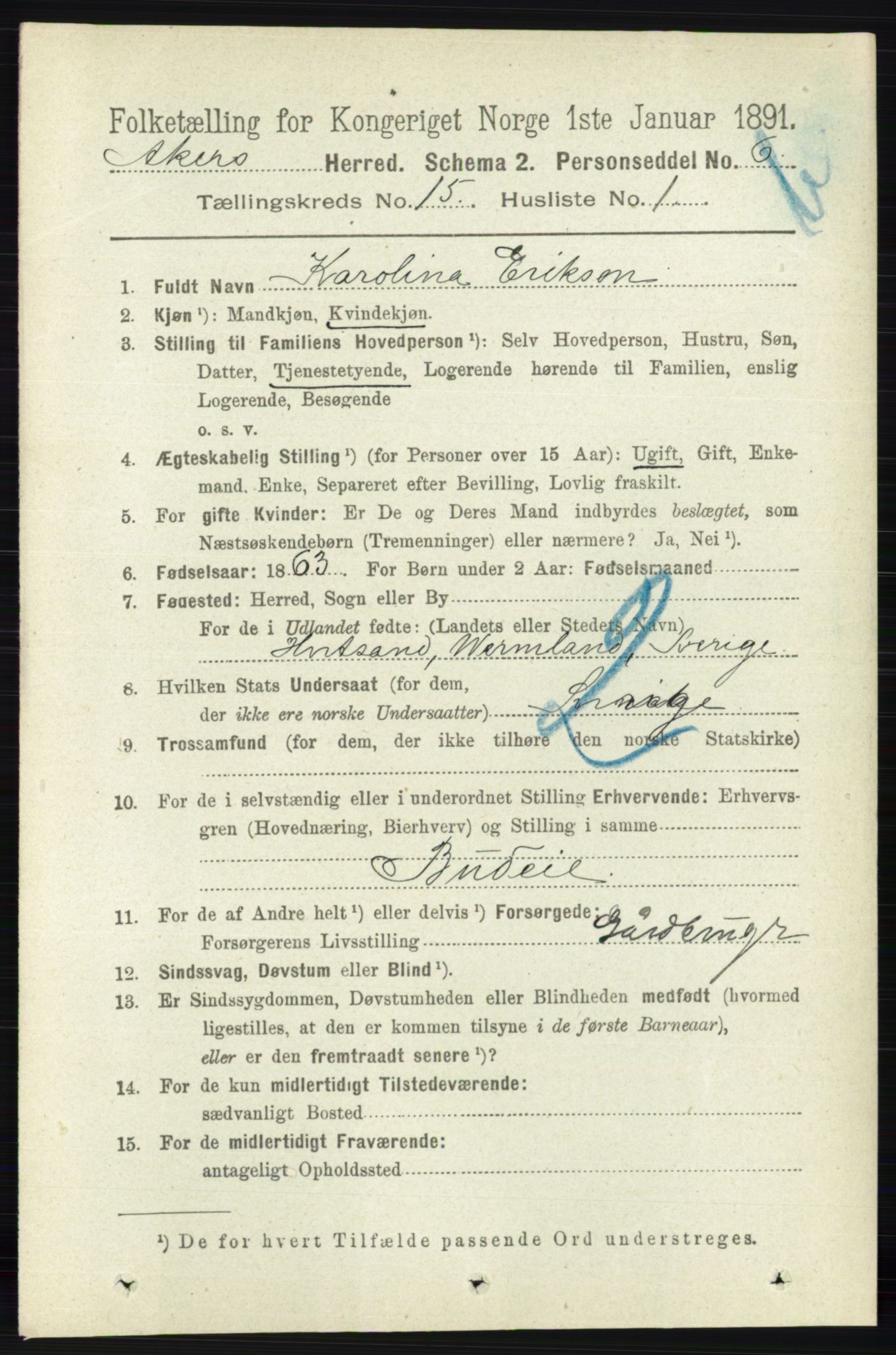 RA, 1891 census for 0218 Aker, 1891, p. 13328